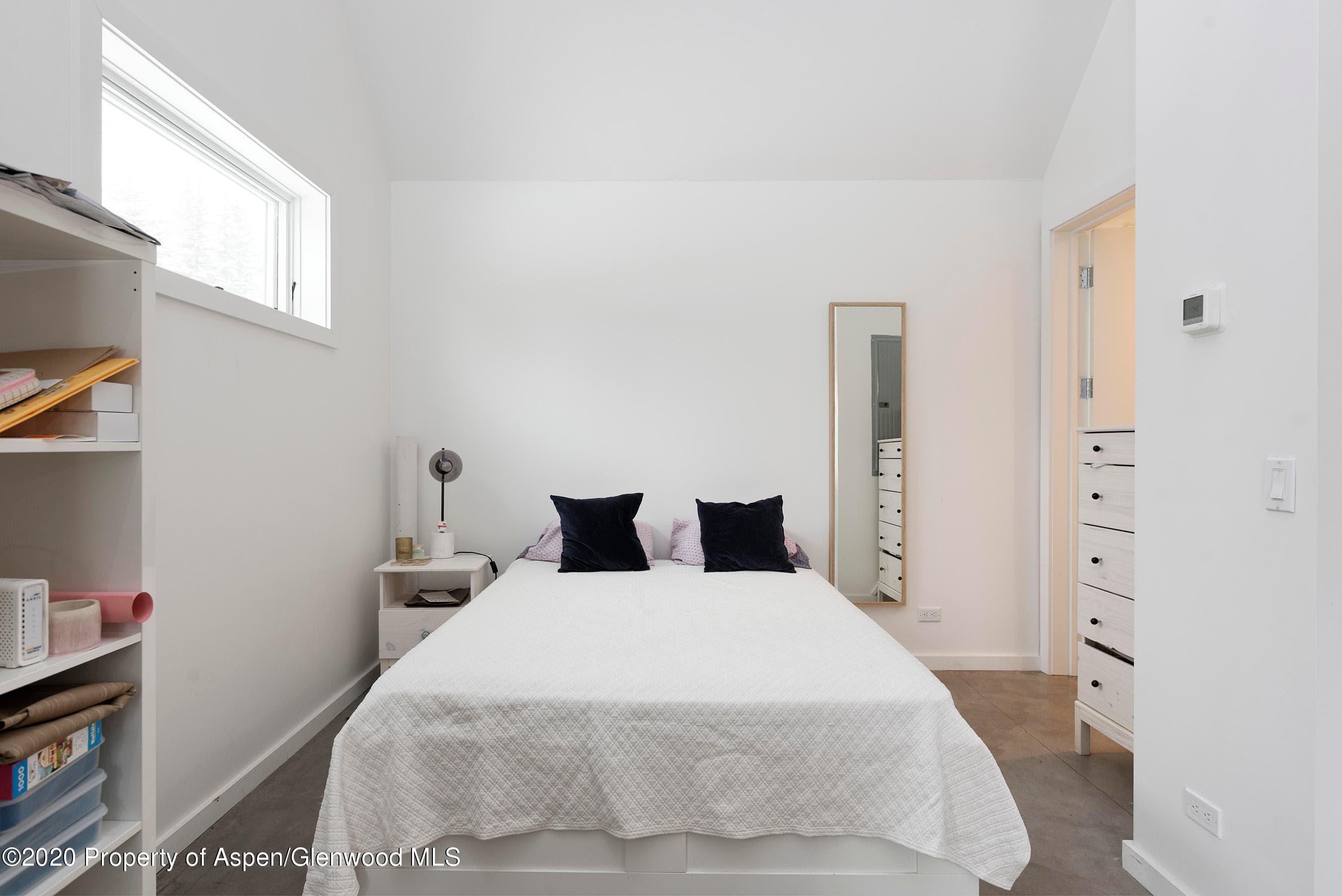 100 S Spring Street, Aspen, CO 81611 - Photo 20