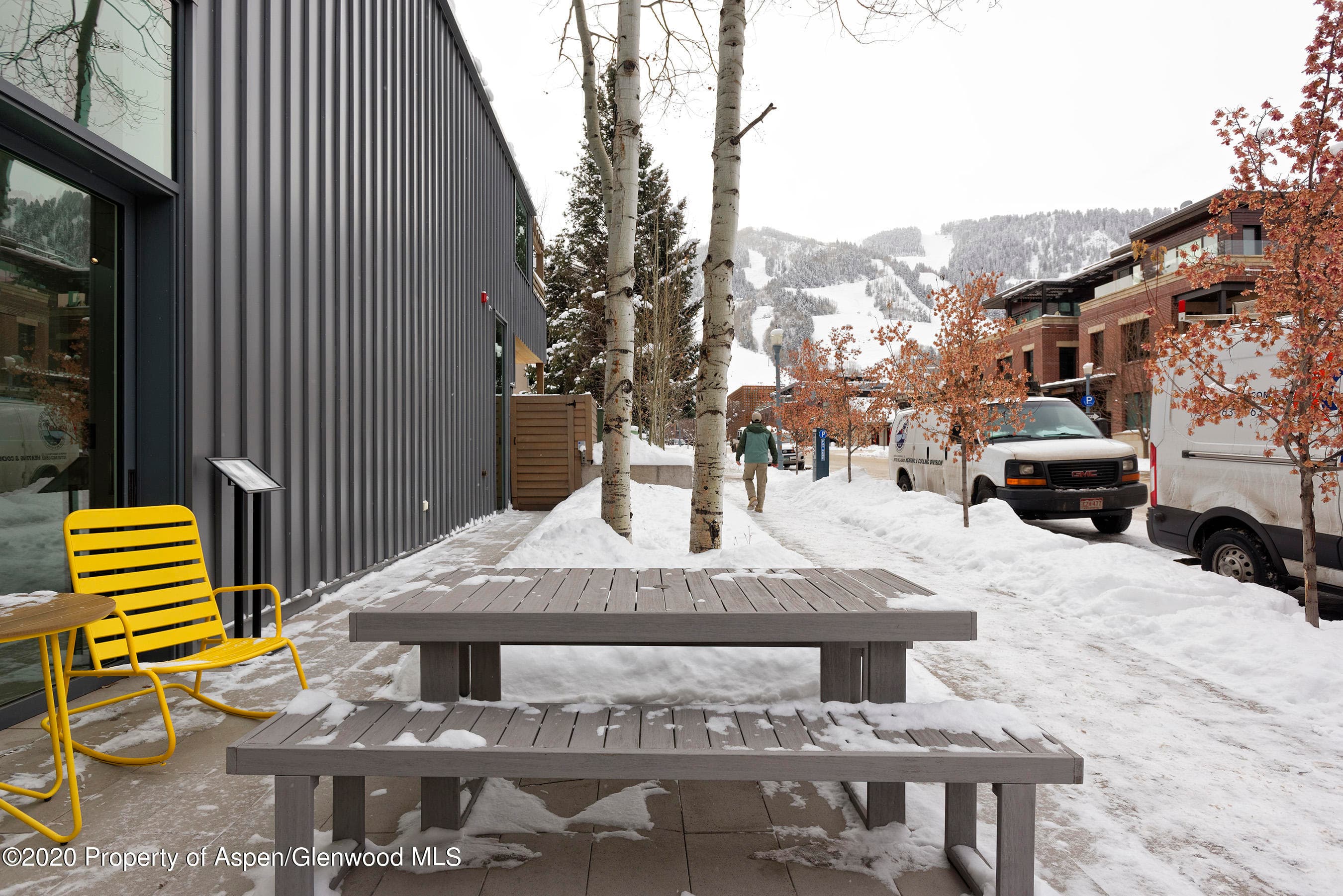100 S Spring Street, Aspen, CO 81611 - Photo 24
