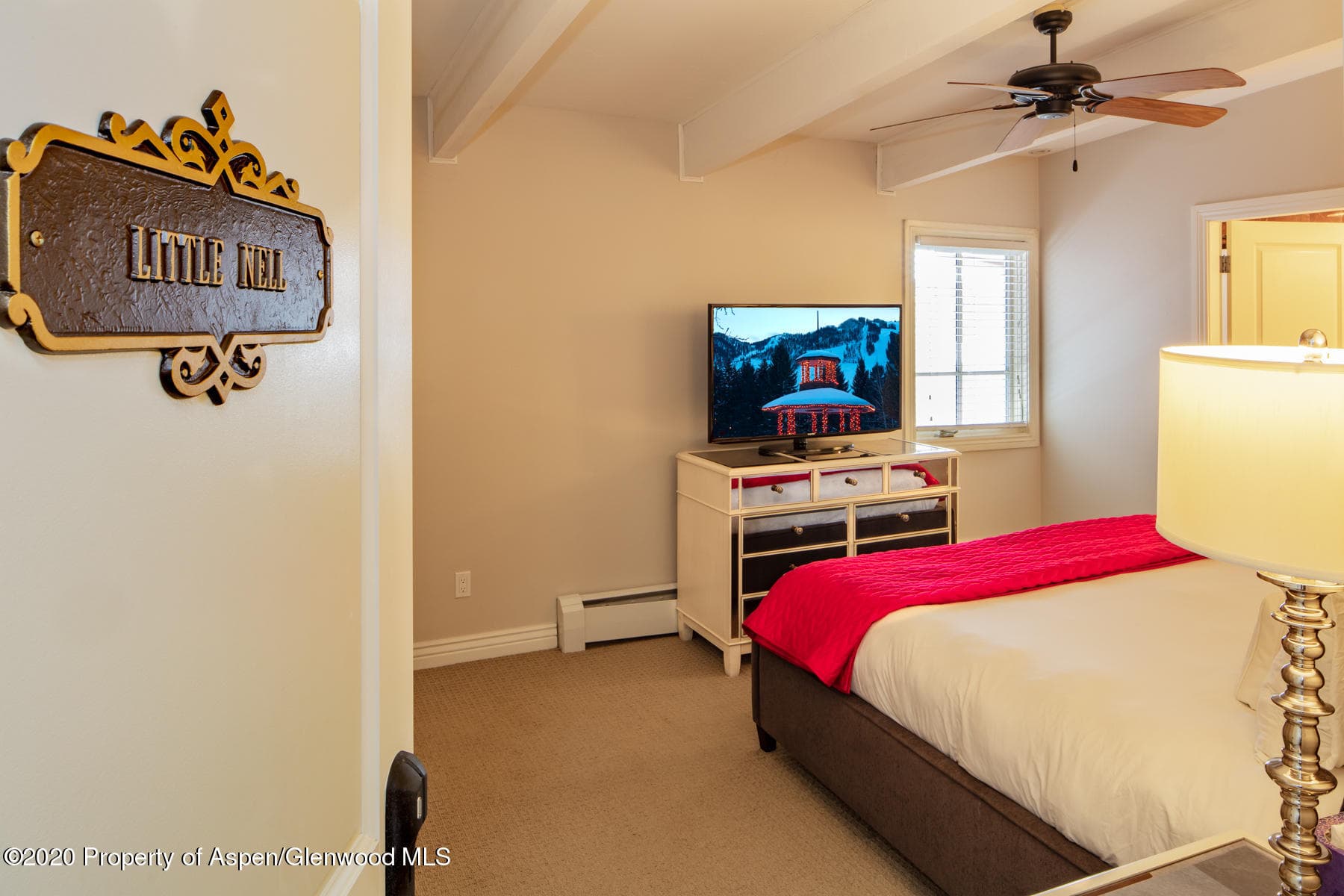 118 E Cooper Avenue, Aspen, CO 81611 - Photo 18