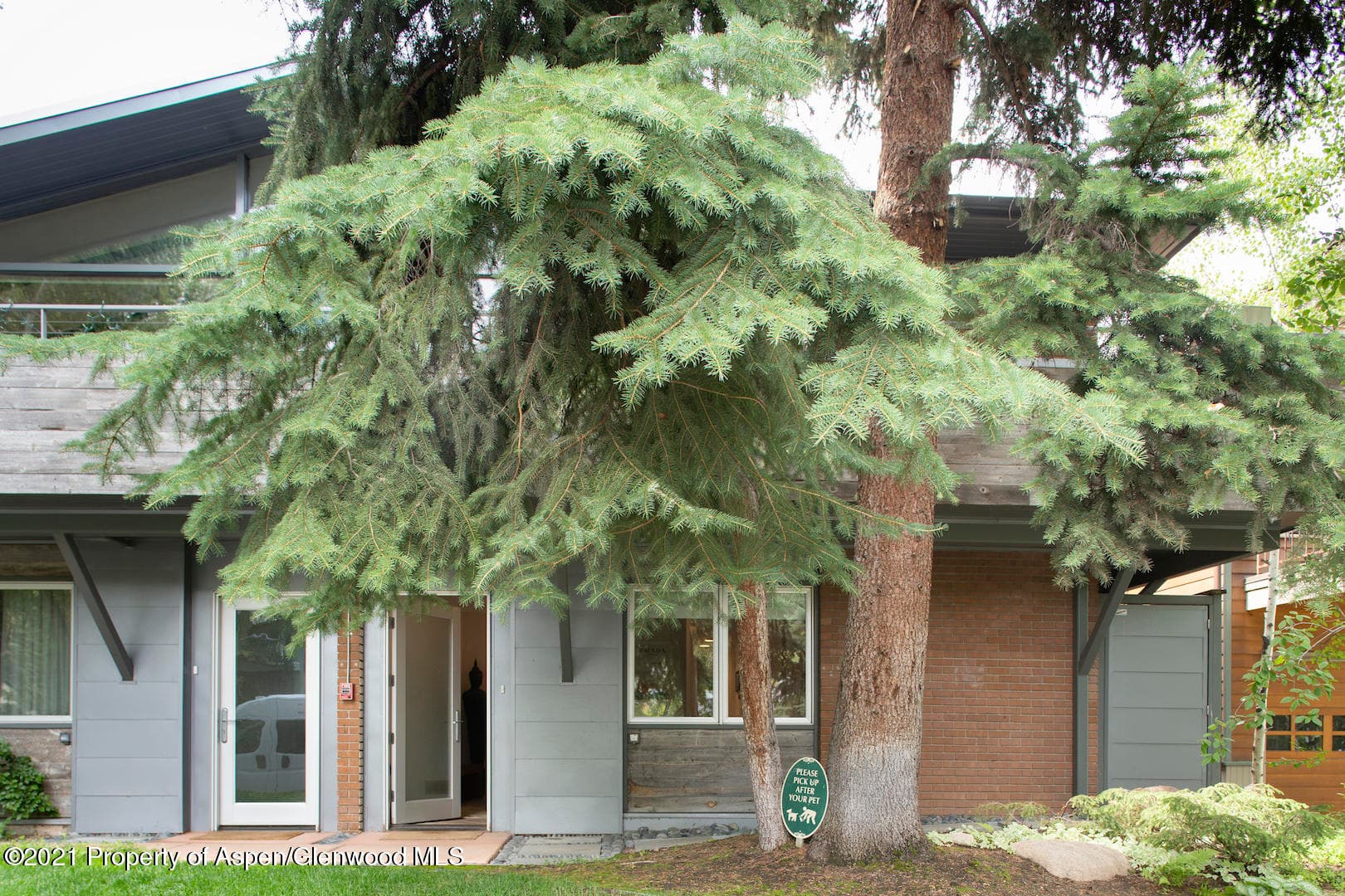 1001 E Cooper Avenue #4, Aspen, CO 81611 - Photo 14