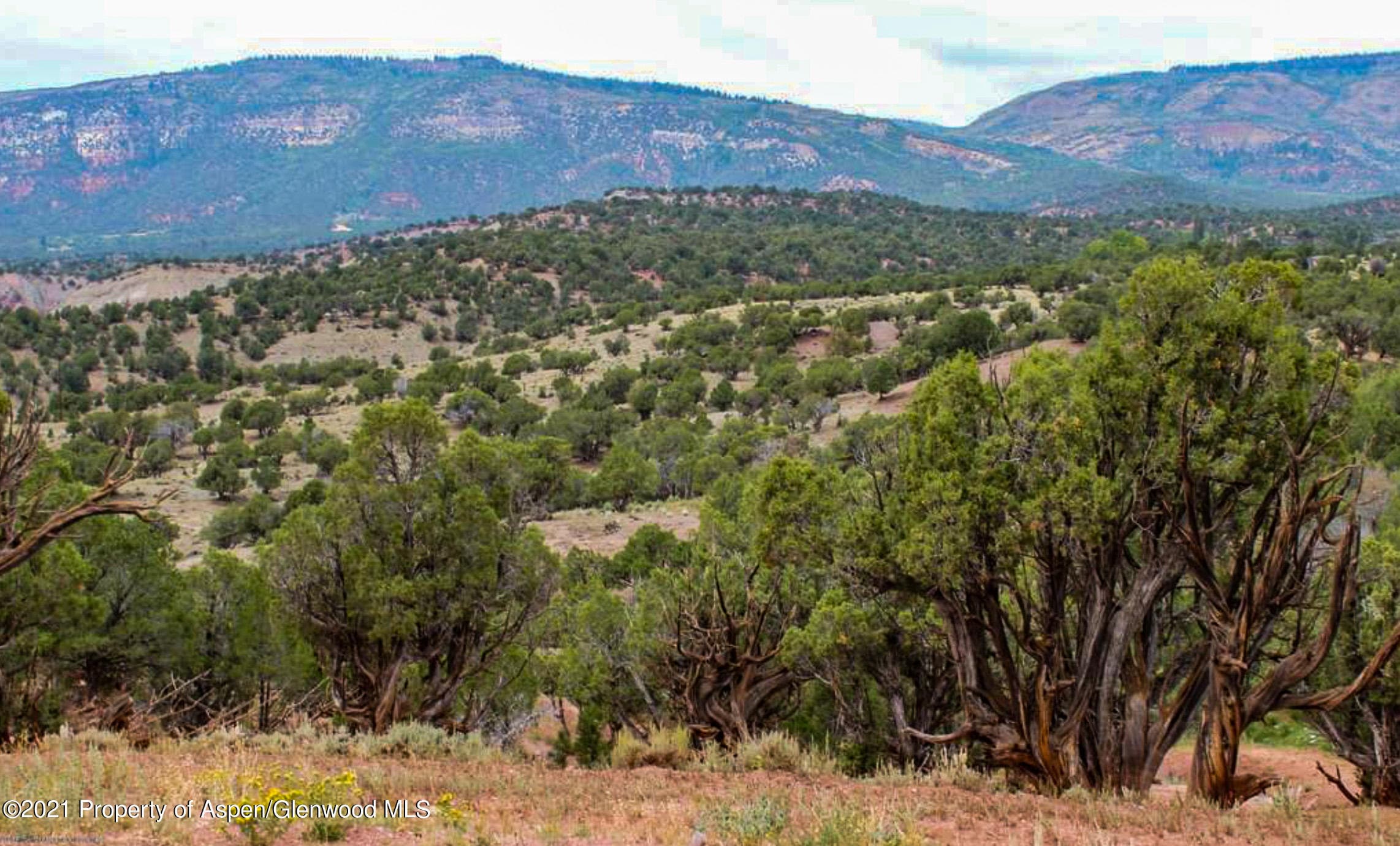 32323 Colorado River Road, McCoy, CO 80463 - Photo 12