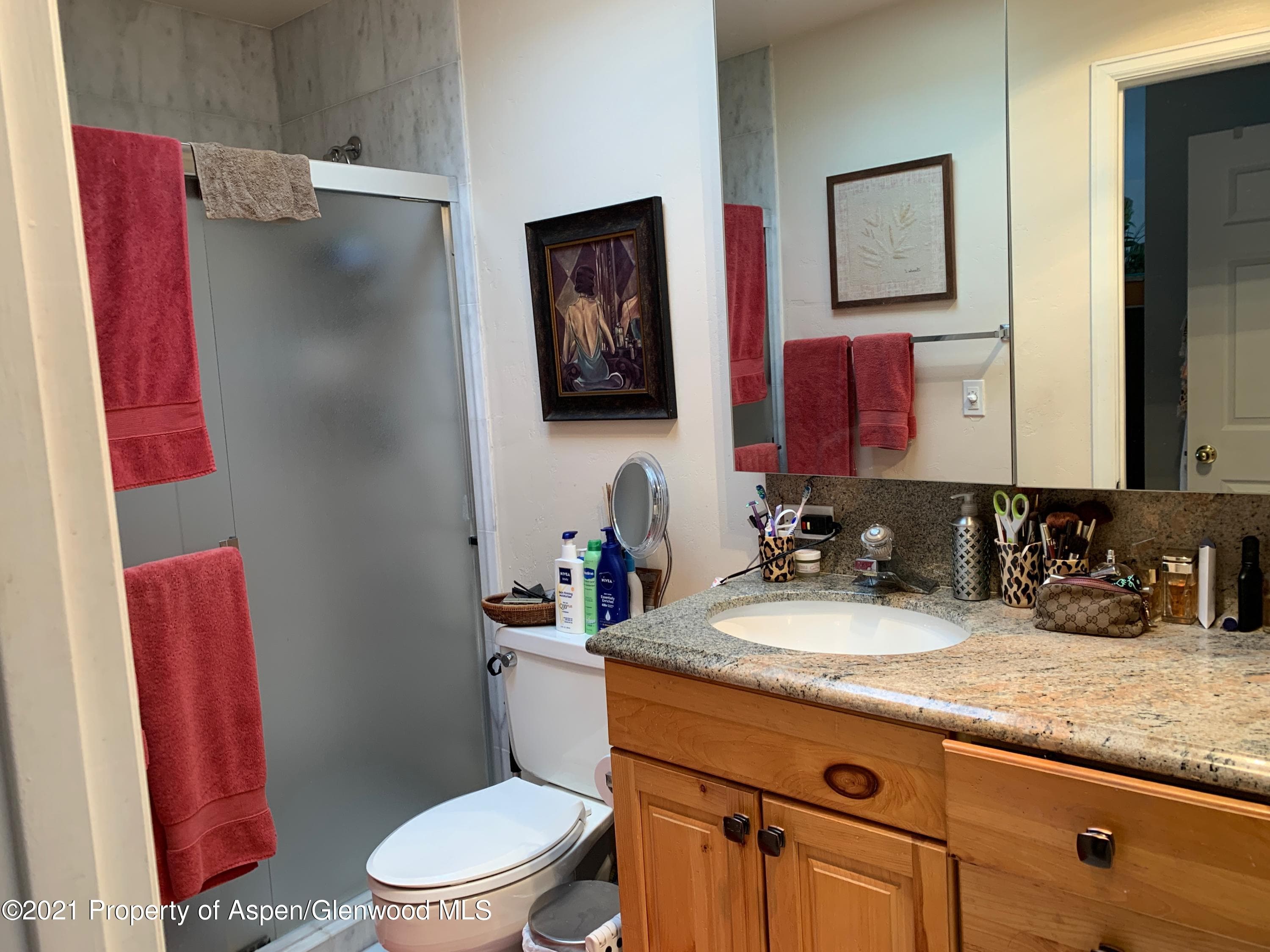 765 & 767 Cemetery Lane, Aspen, CO 81611 - Photo 25
