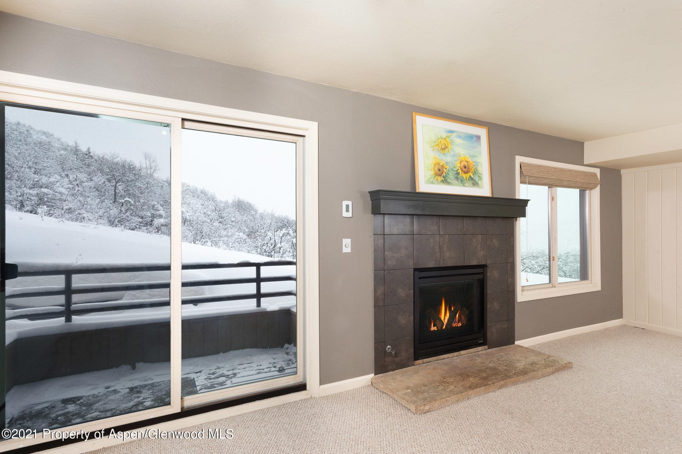 35 Lower Woodbridge Road 155, Snowmass Village, CO 81615 - Photo 2