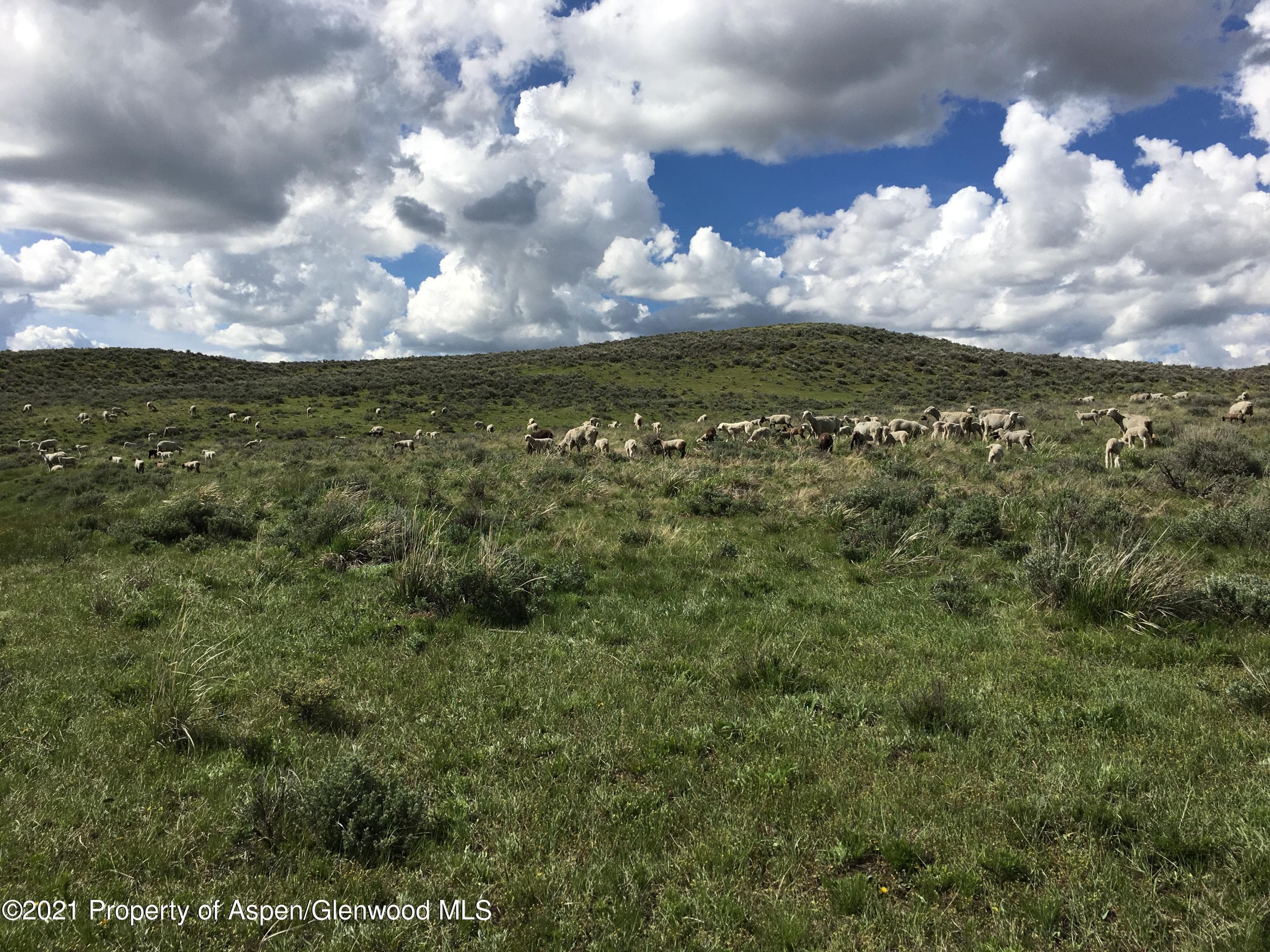 TBD County Road 18, Craig, CO 81625 - Photo 17