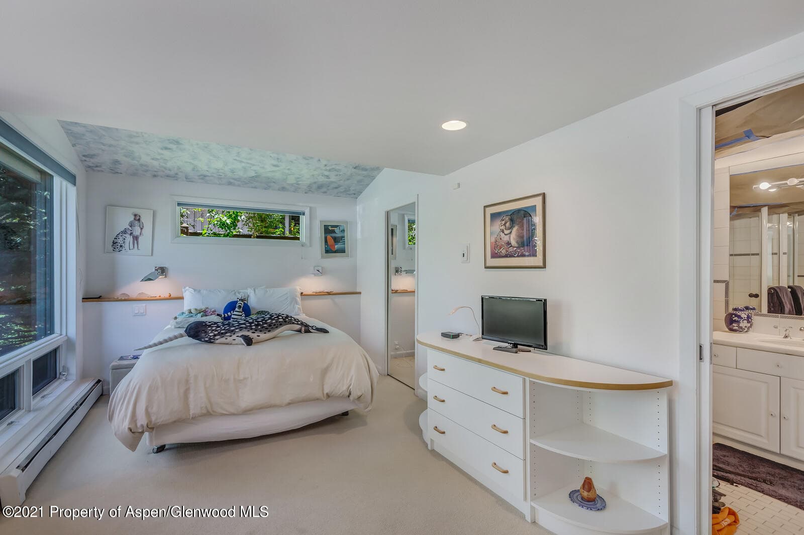 911 Waters Avenue, Aspen, CO 81611 - Photo 16