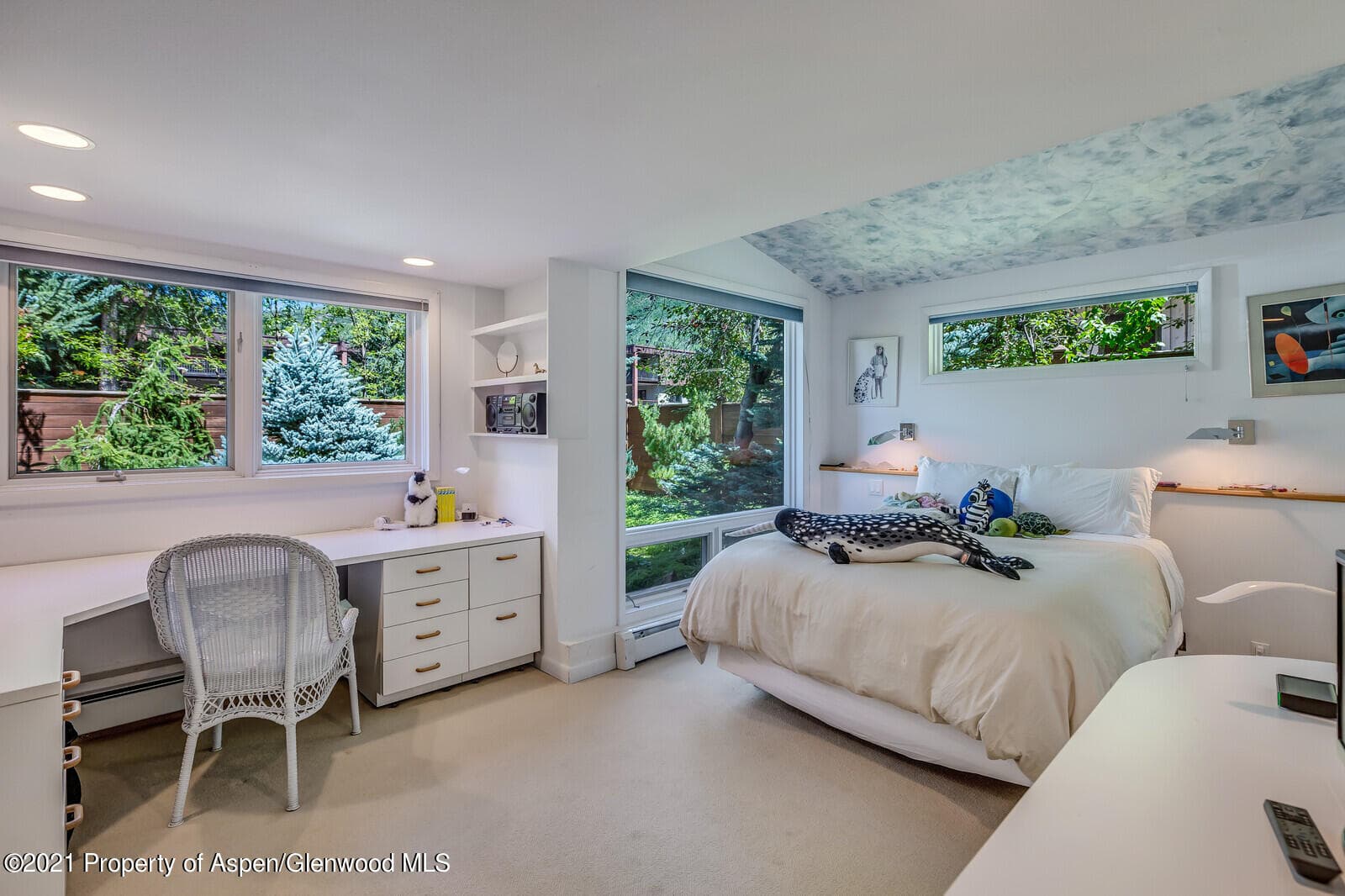 911 Waters Avenue, Aspen, CO 81611 - Photo 13