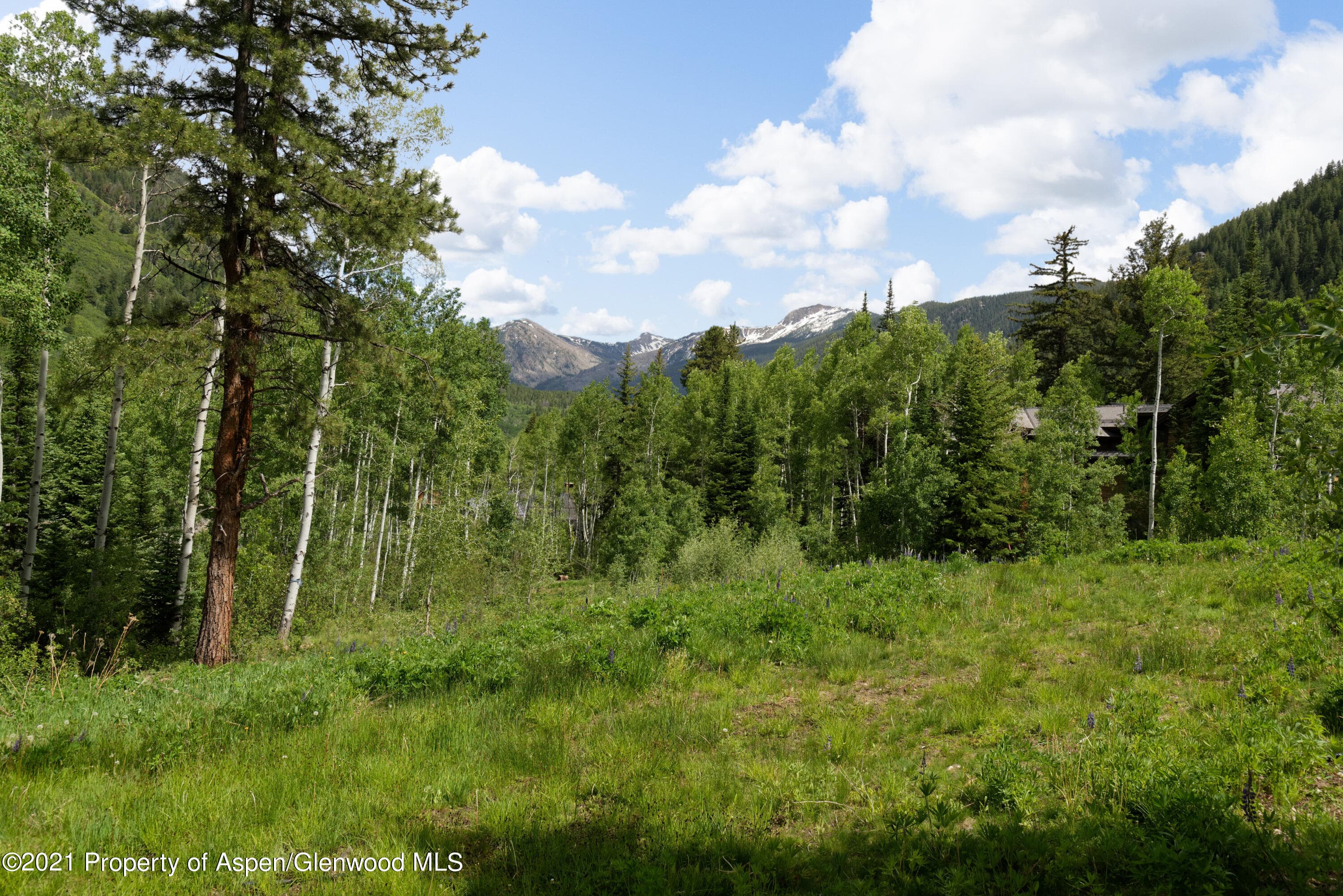 90 Popcorn Lane, Aspen, CO 81611 - Photo 5