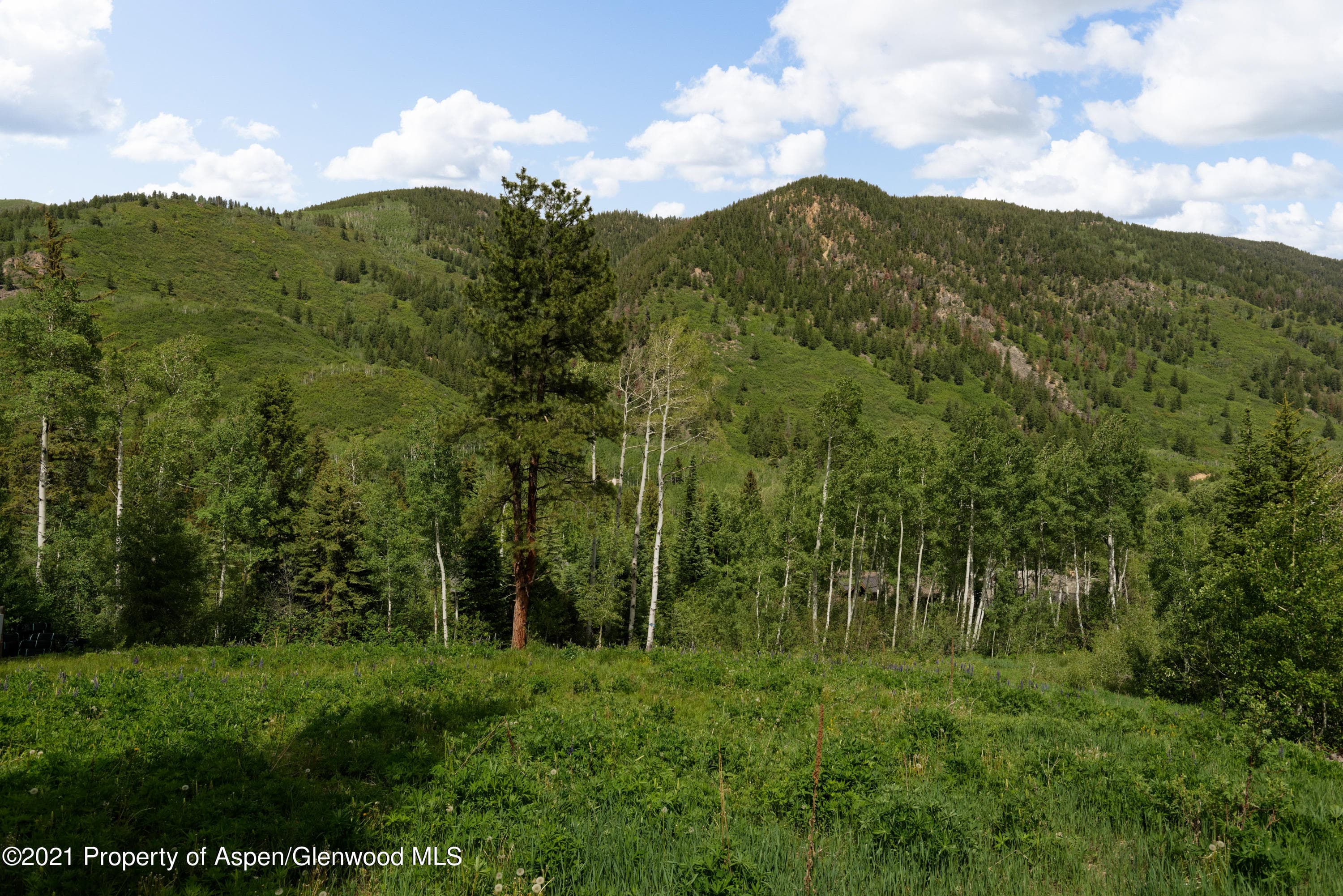 90 Popcorn Lane, Aspen, CO 81611 - Photo 11