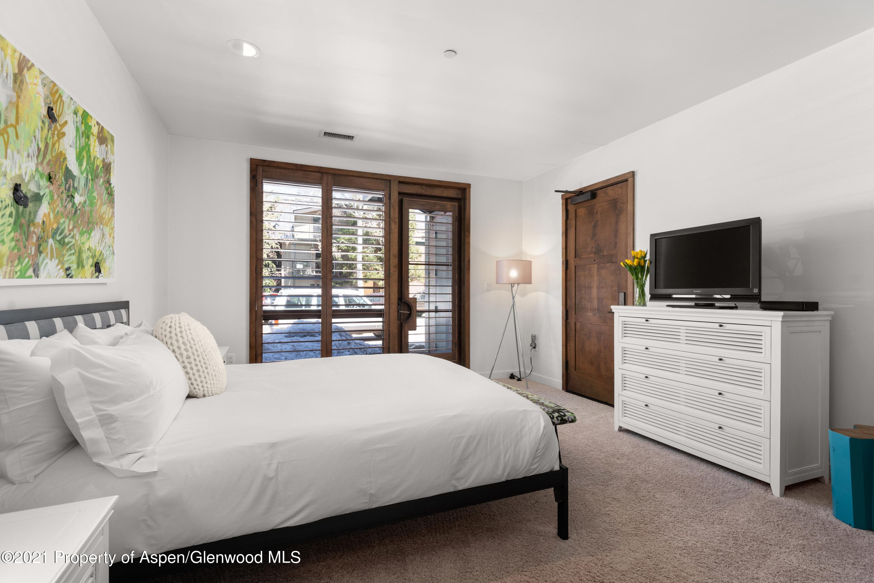 233 E Cooper Avenue 104, Aspen, CO 81611 - Photo 20