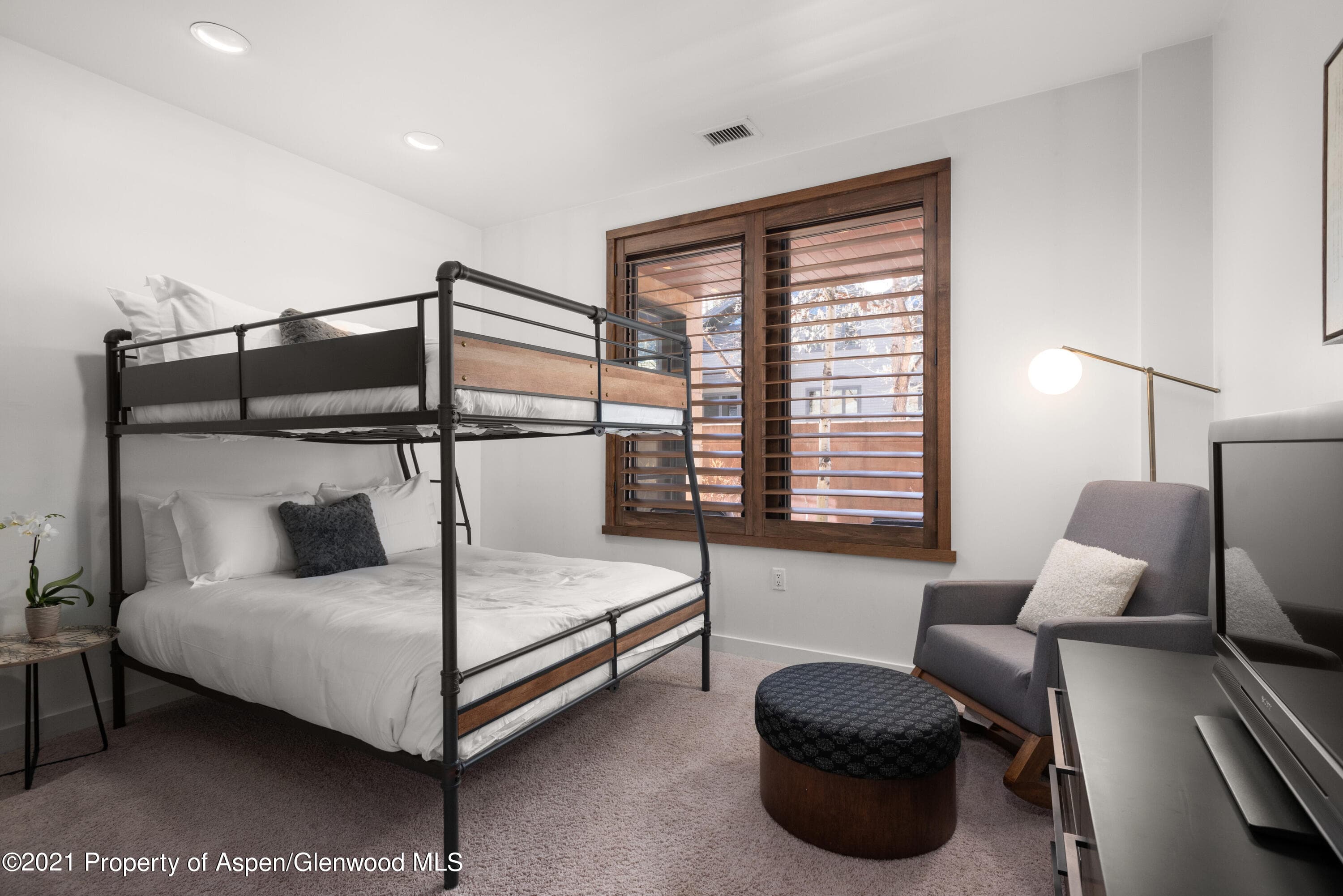 233 E Cooper Avenue 104, Aspen, CO 81611 - Photo 26