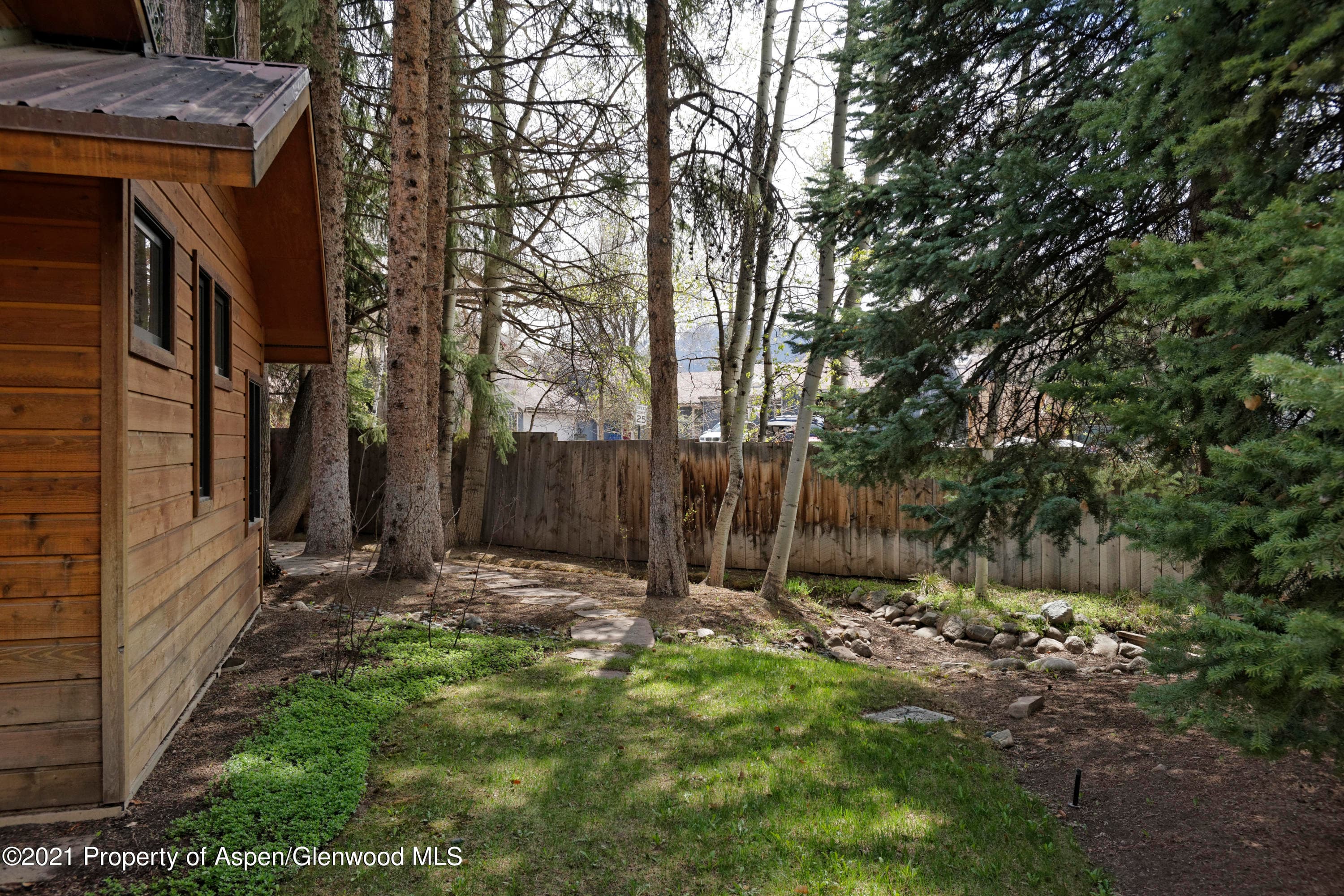 707 Castle Creek Drive 2, Aspen, CO 81611 - Photo 29
