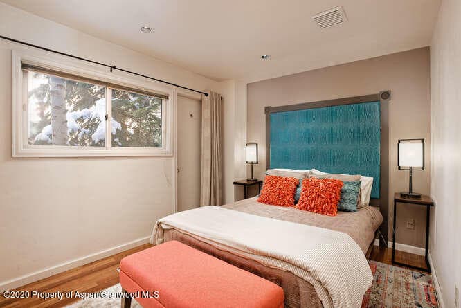 124 E Durant Avenue Unit 1, Aspen, CO 81611 - Photo 11