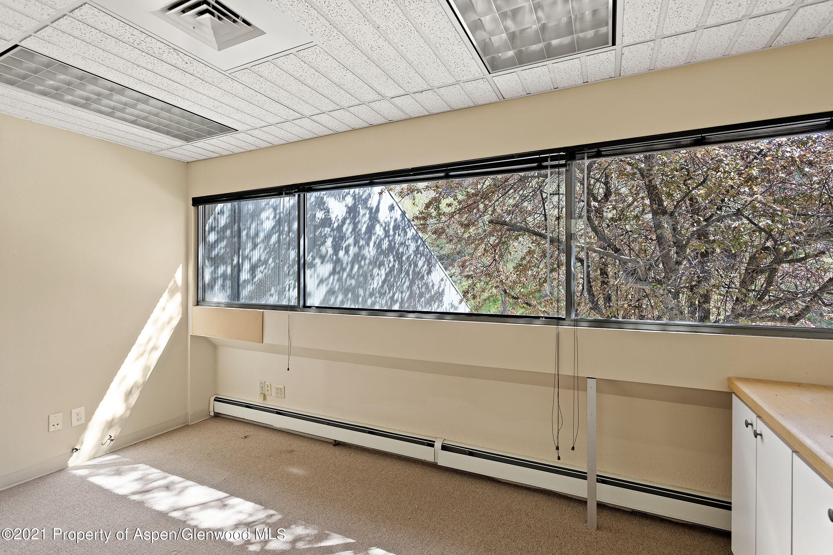 6916 Highway 82, Glenwood Springs, CO 81601 - Photo 17