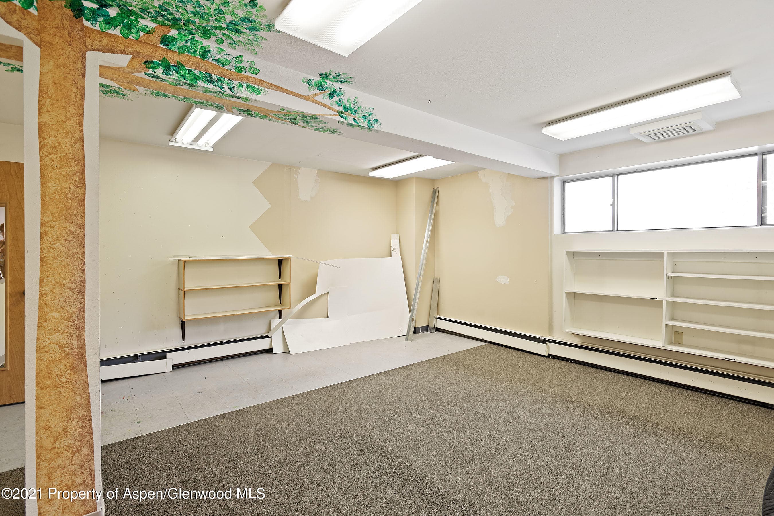 6916 Highway 82, Glenwood Springs, CO 81601 - Photo 48