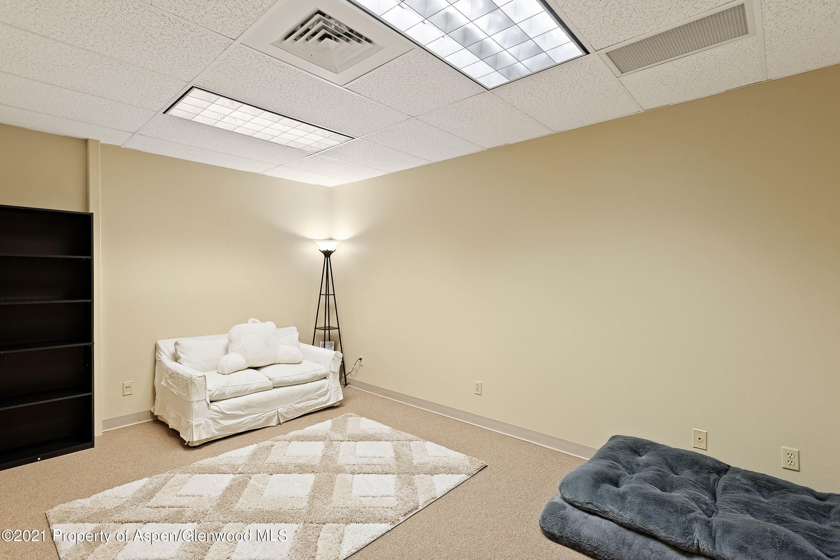 6916 Highway 82, Glenwood Springs, CO 81601 - Photo 58