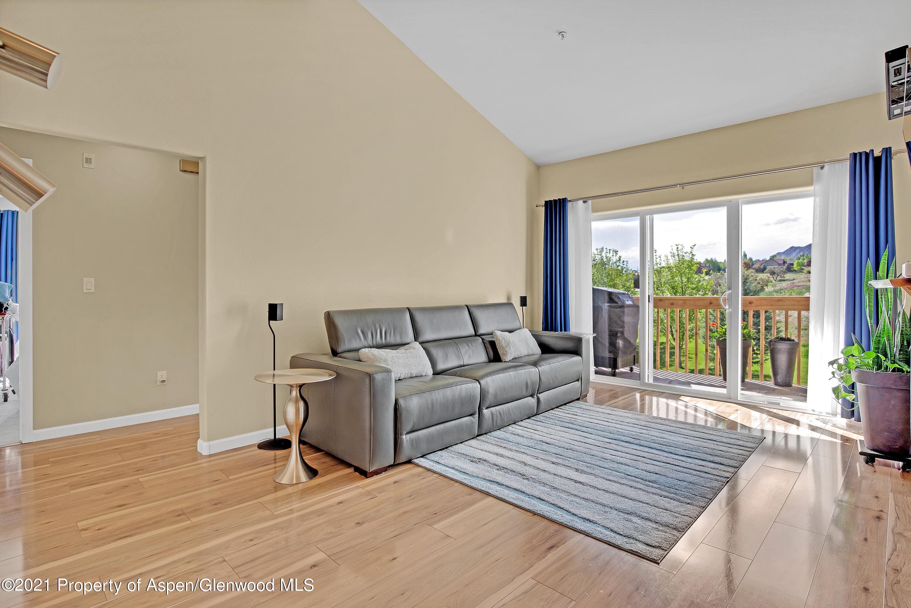 788 Castle Valley Boulevard Unit J, New Castle, CO 81647 - Photo 6