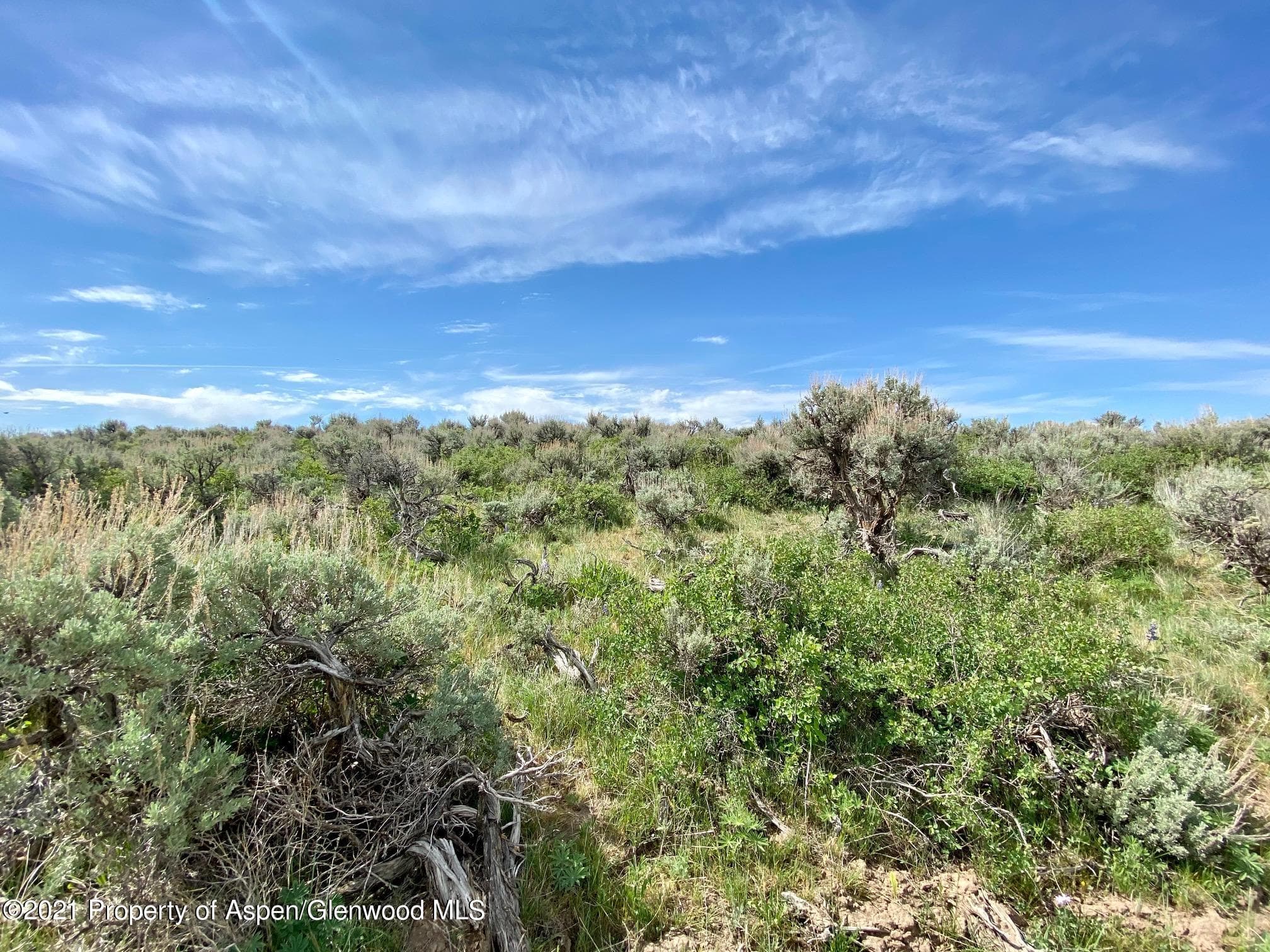 TBD County Road 18, Craig, CO 81625 - Photo 29