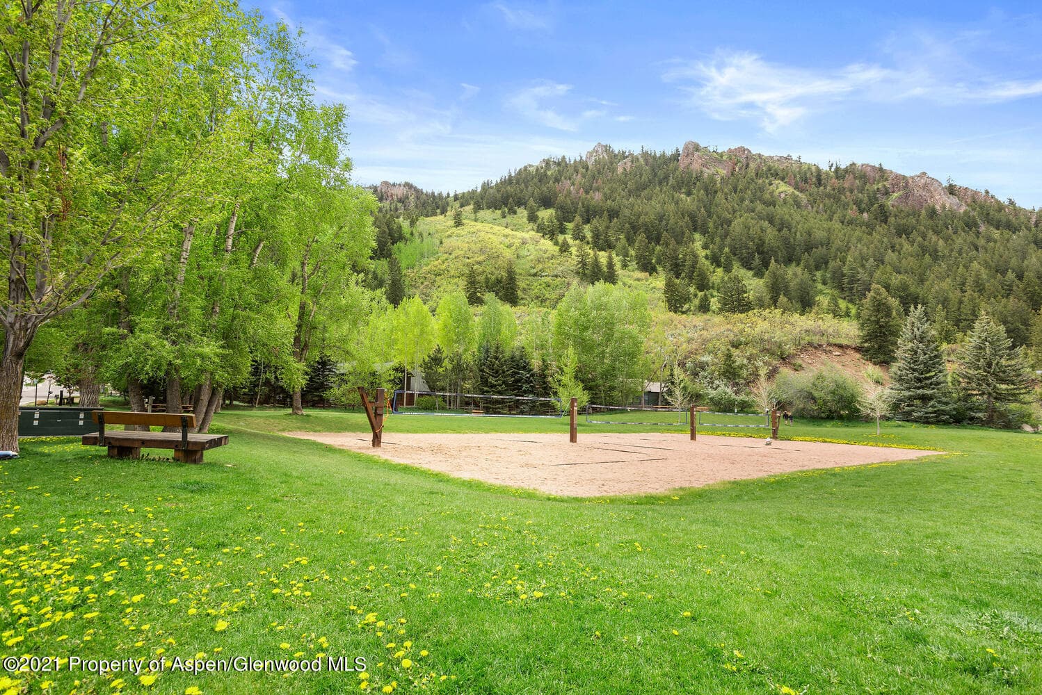 124 E Durant Avenue Unit 1, Aspen, CO 81611 - Photo 17