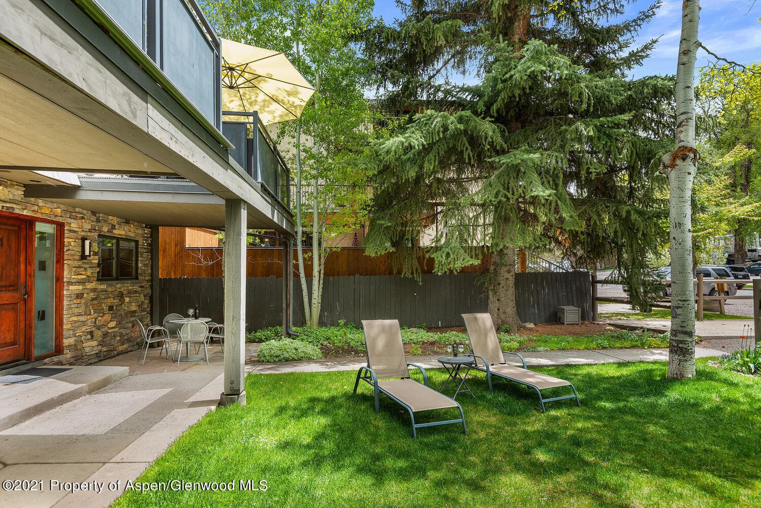 124 E Durant Avenue Unit 1, Aspen, CO 81611 - Photo 13