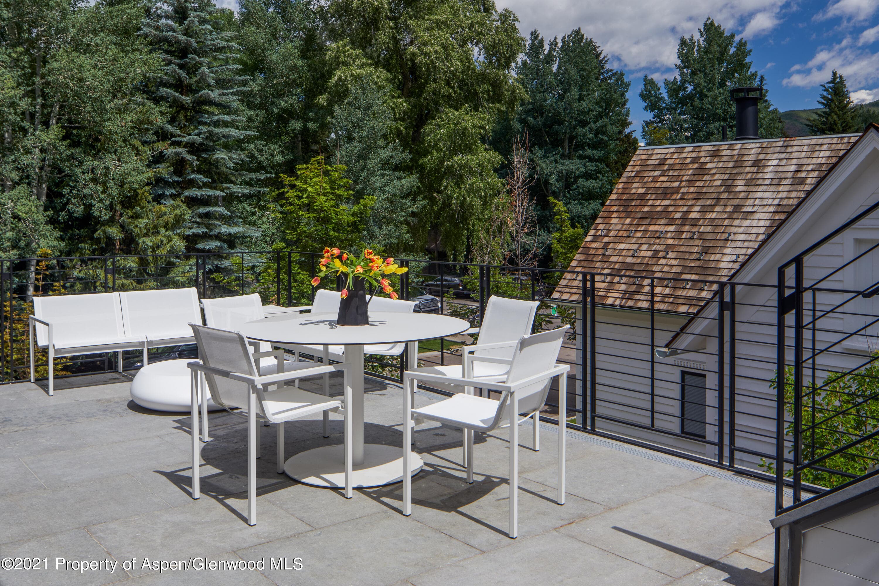 210 S 1st Street, Aspen, CO 81611 - Photo 21