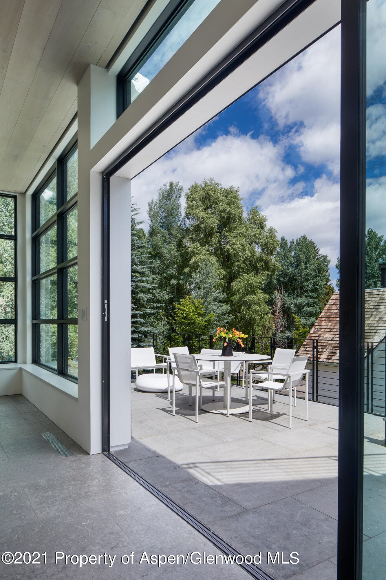 210 S 1st Street, Aspen, CO 81611 - Photo 20
