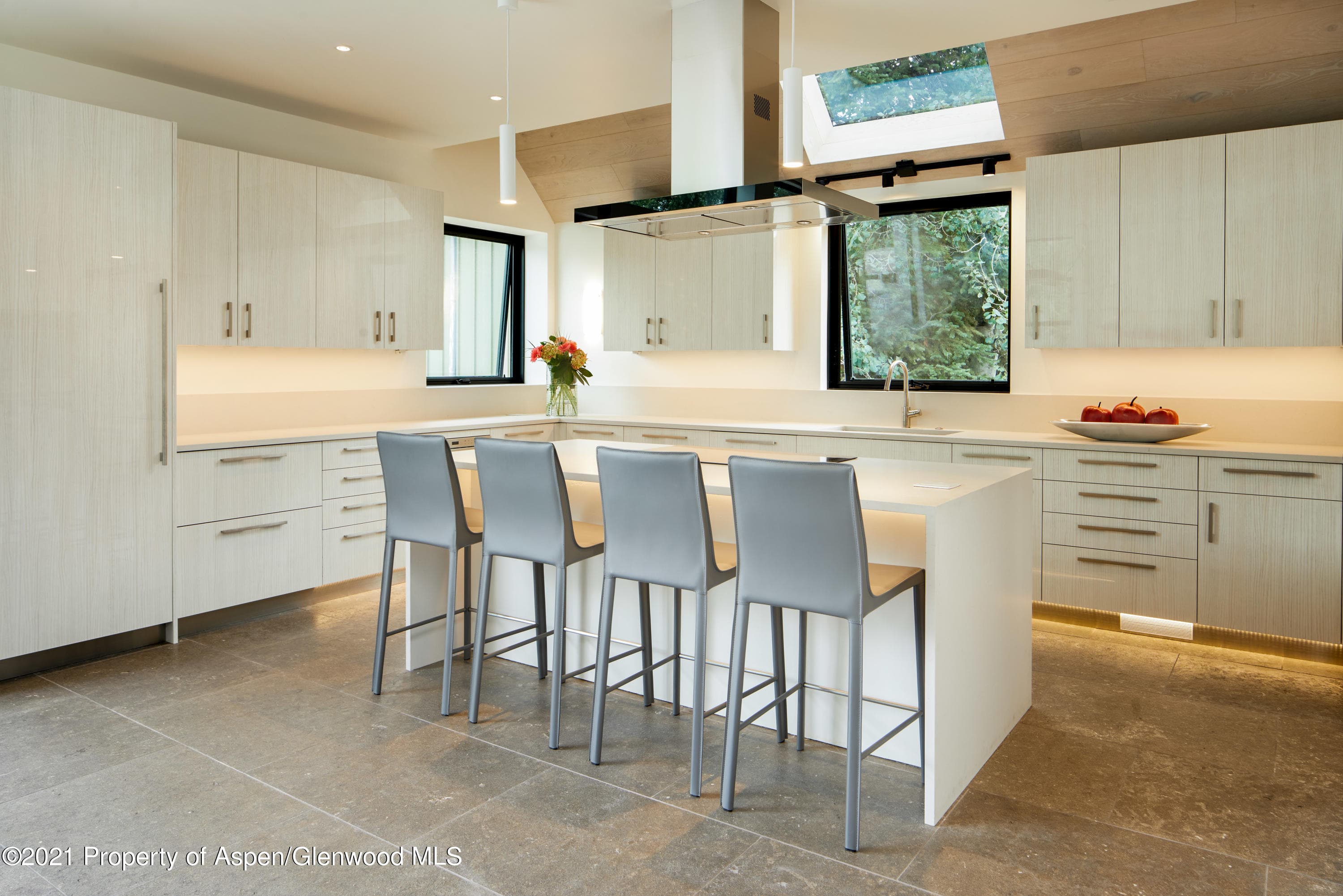 210 S 1st Street, Aspen, CO 81611 - Photo 3