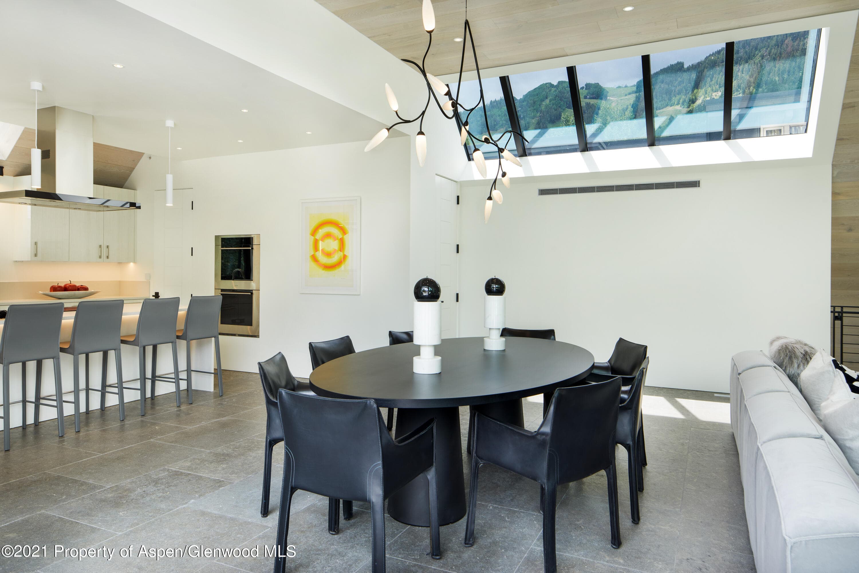 210 S 1st Street, Aspen, CO 81611 - Photo 6