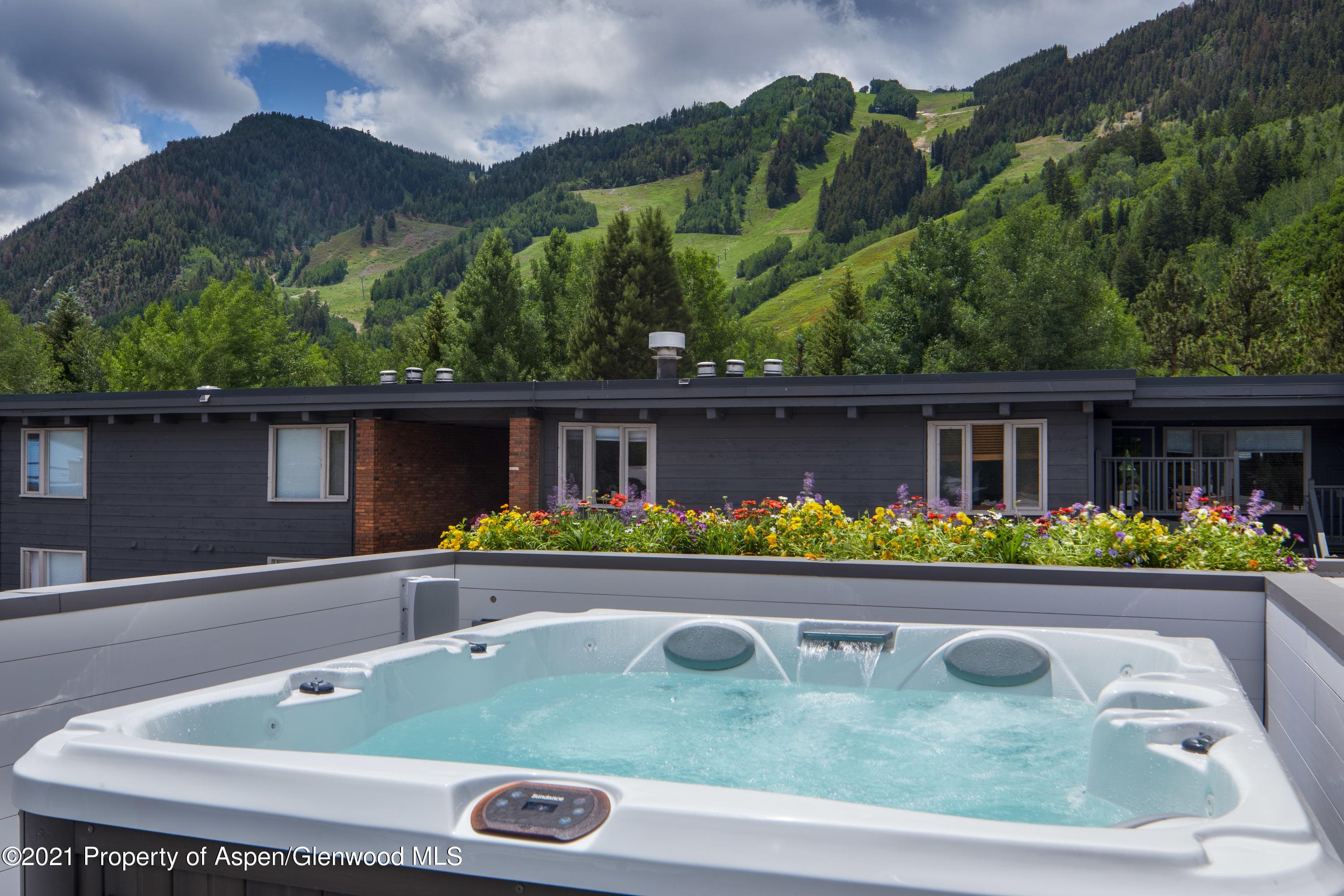 210 S 1st Street, Aspen, CO 81611 - Photo 19