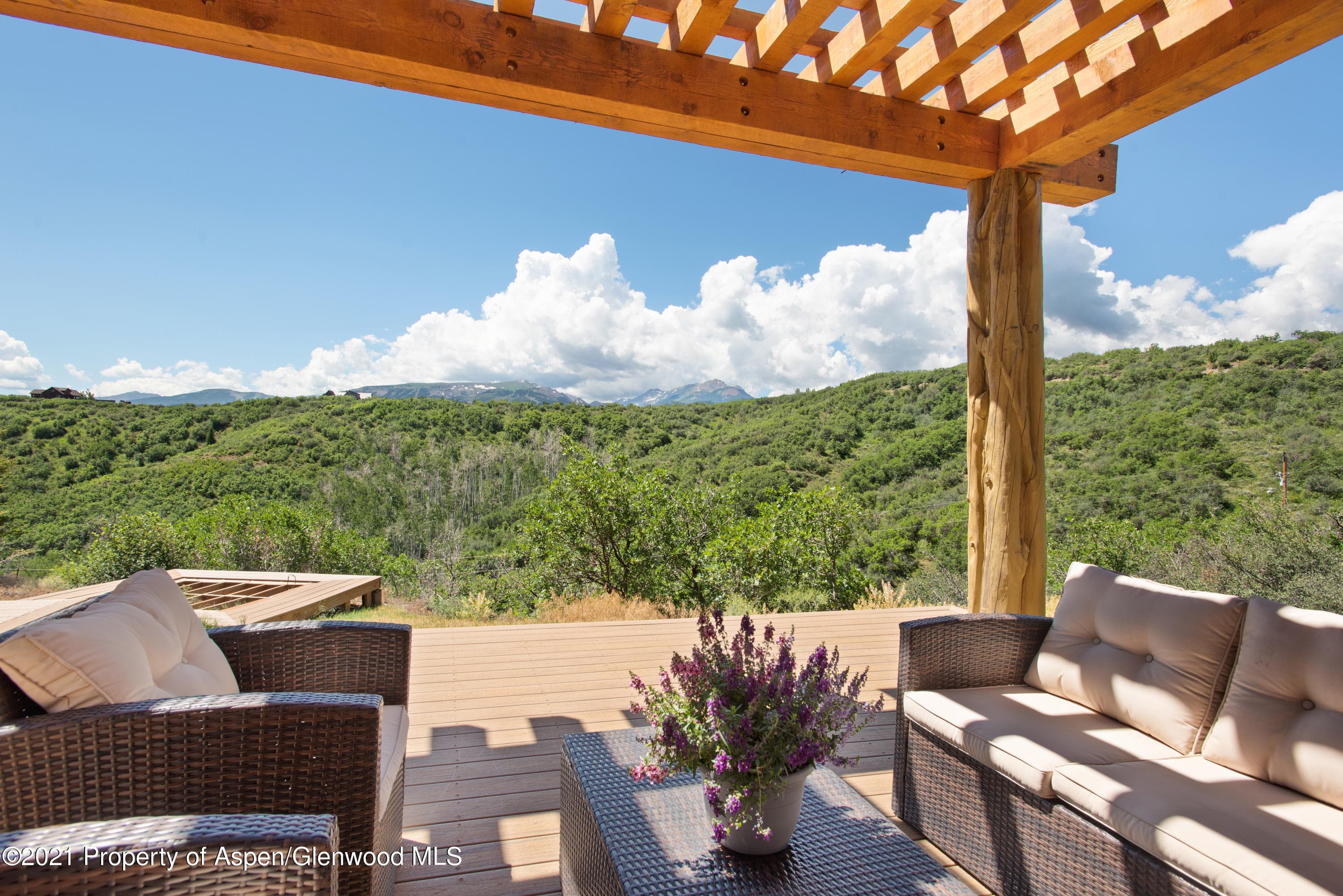 343 Monastery Cutoff Road, Snowmass, CO 81654 - Photo 31