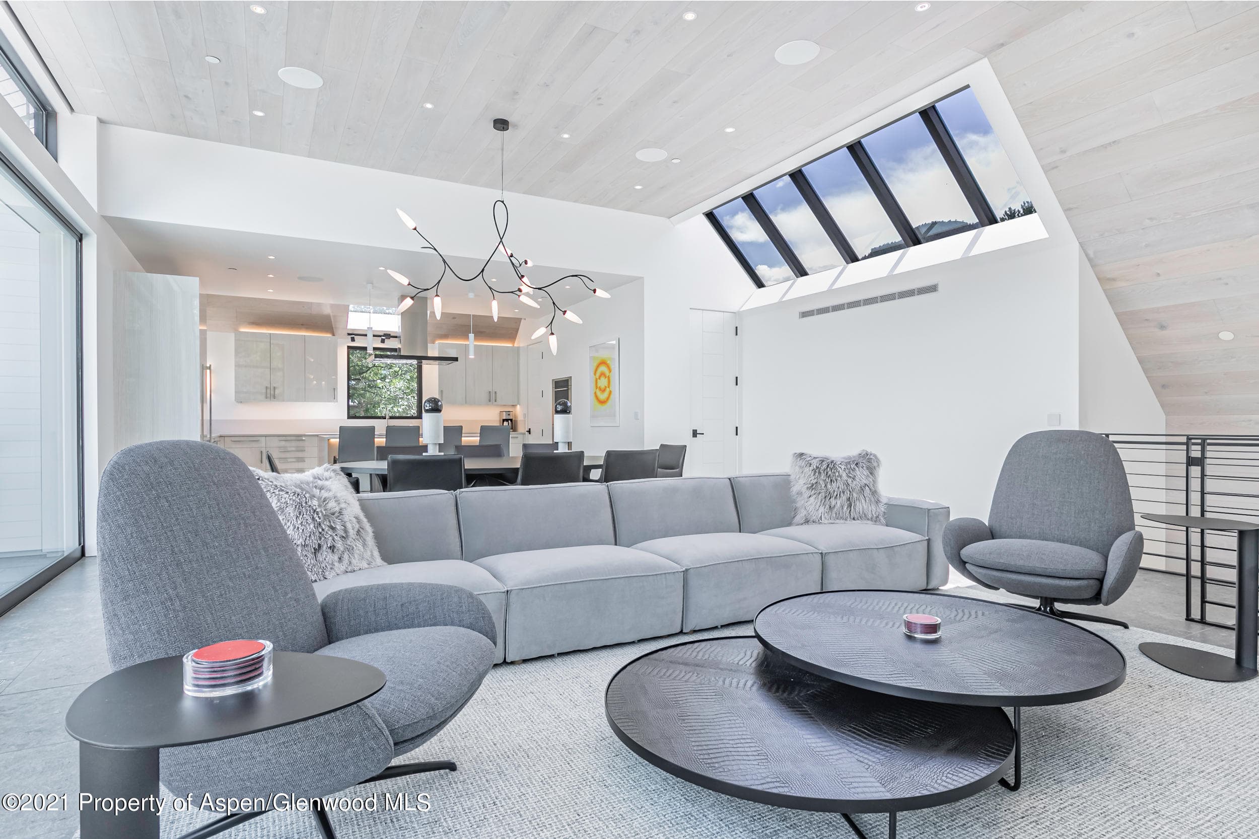210 S 1st Street, Aspen, CO 81611 - Photo 4