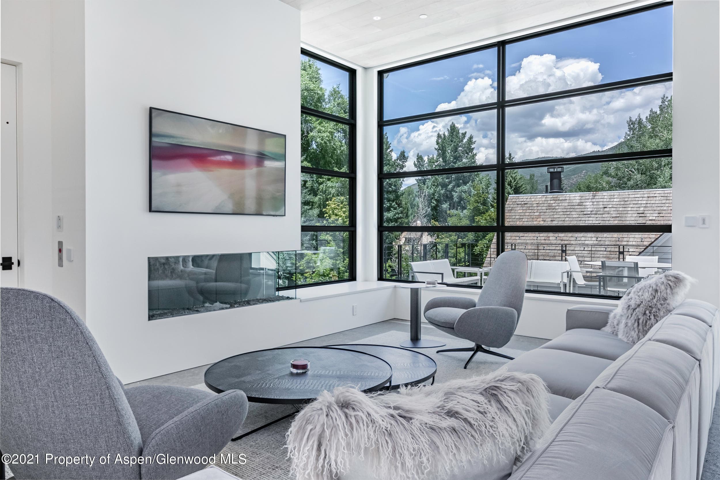 210 S 1st Street, Aspen, CO 81611 - Photo 5