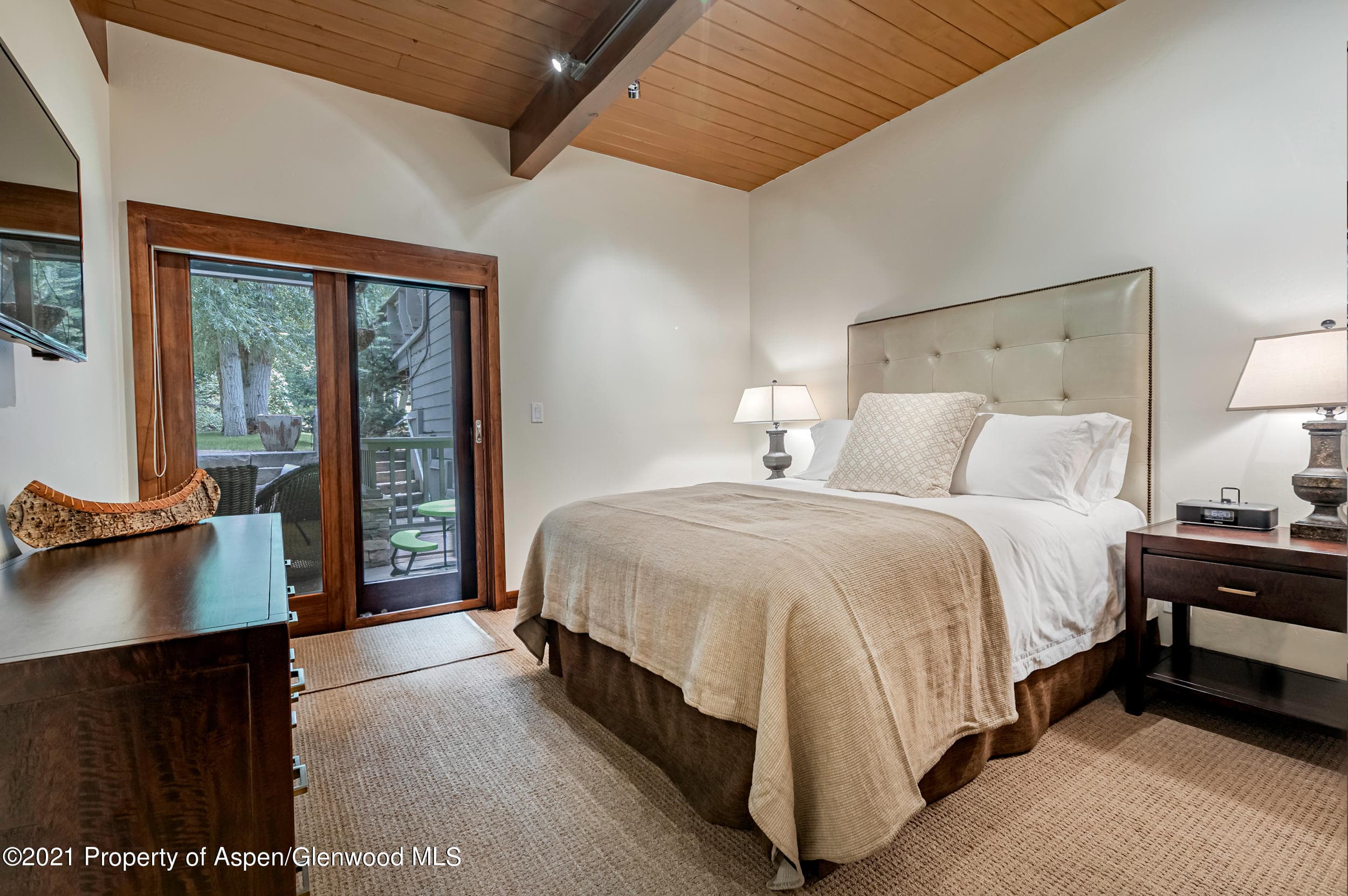 851 Ute Avenue Unit A, Aspen, CO 81611 - Photo 11