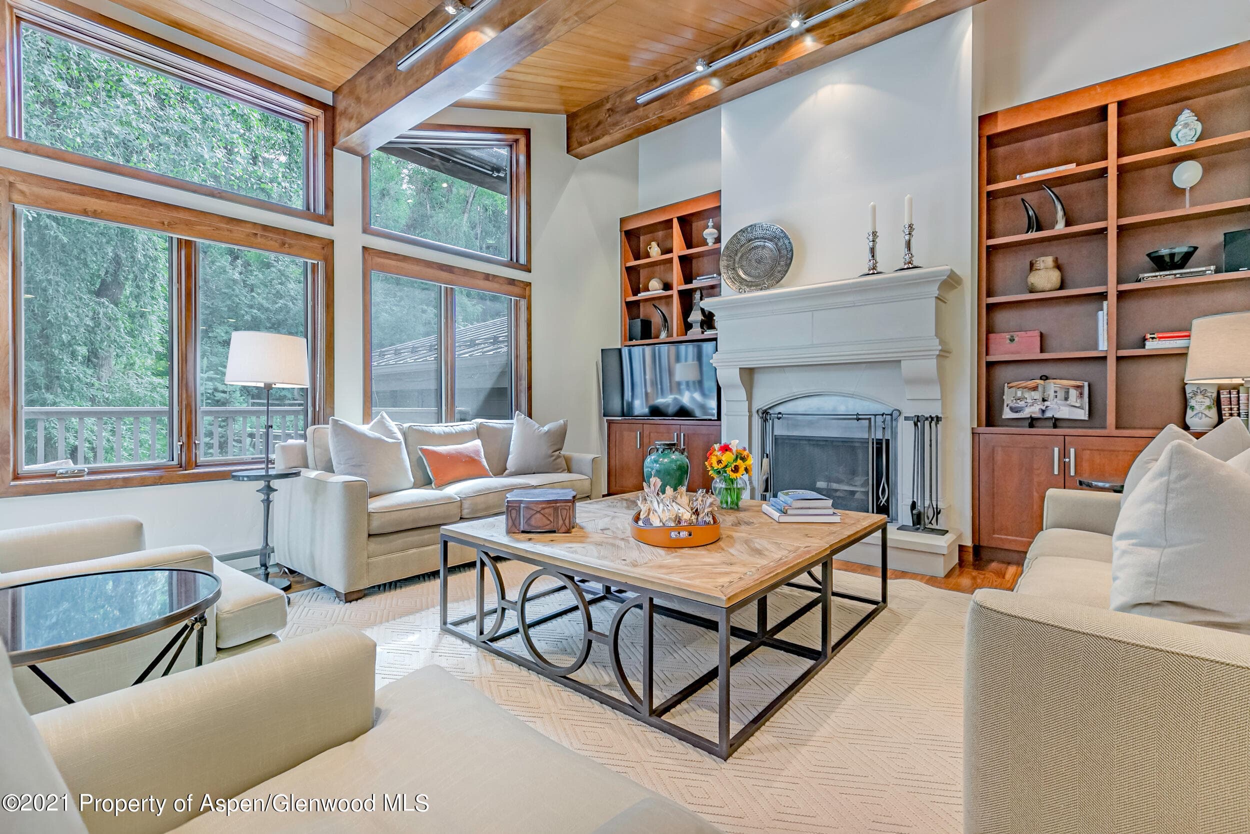 851 Ute Avenue Unit A, Aspen, CO 81611 - Photo 2