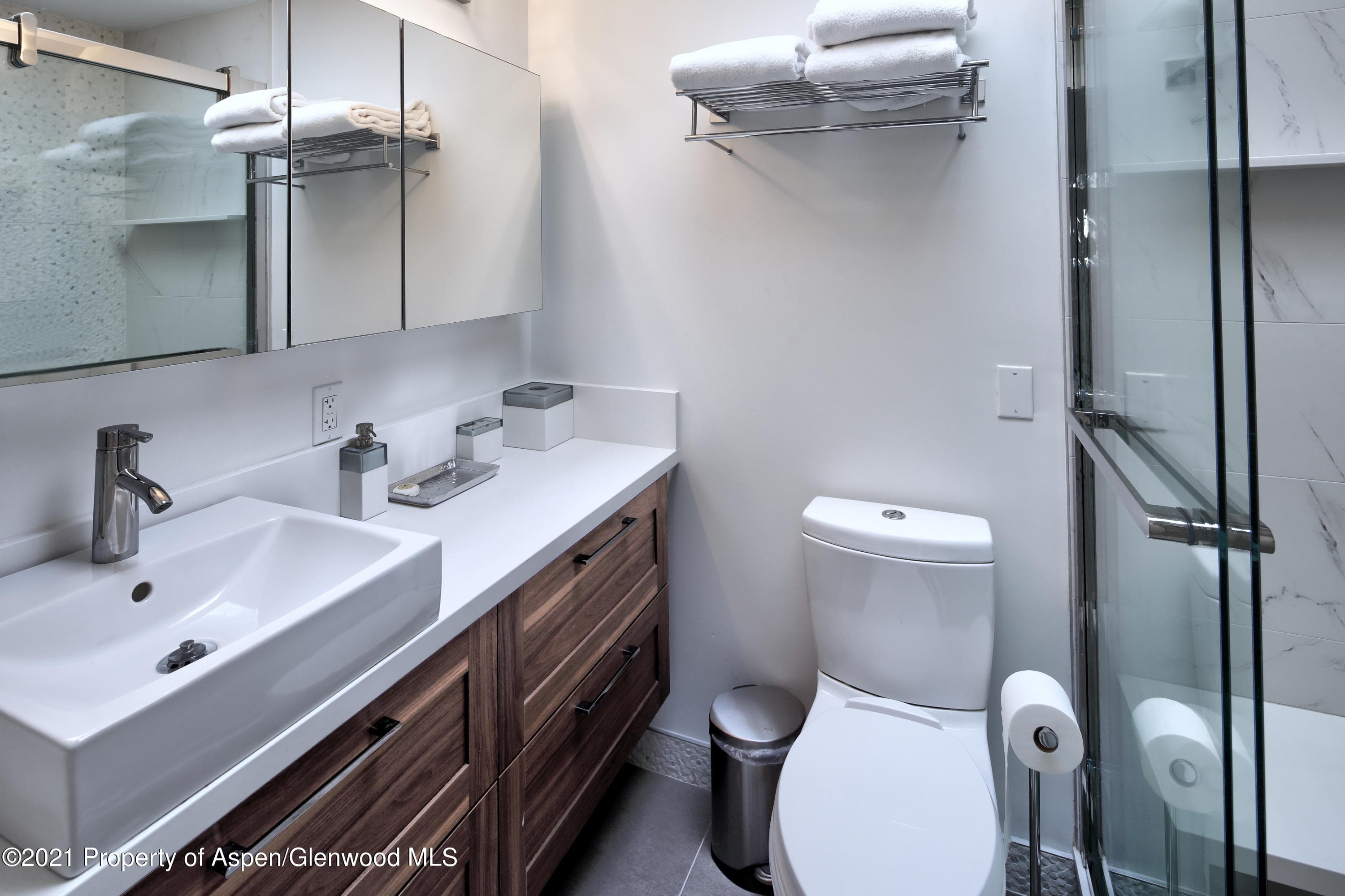 803 E Durant Avenue 7, Aspen, CO 81611 - Photo 5
