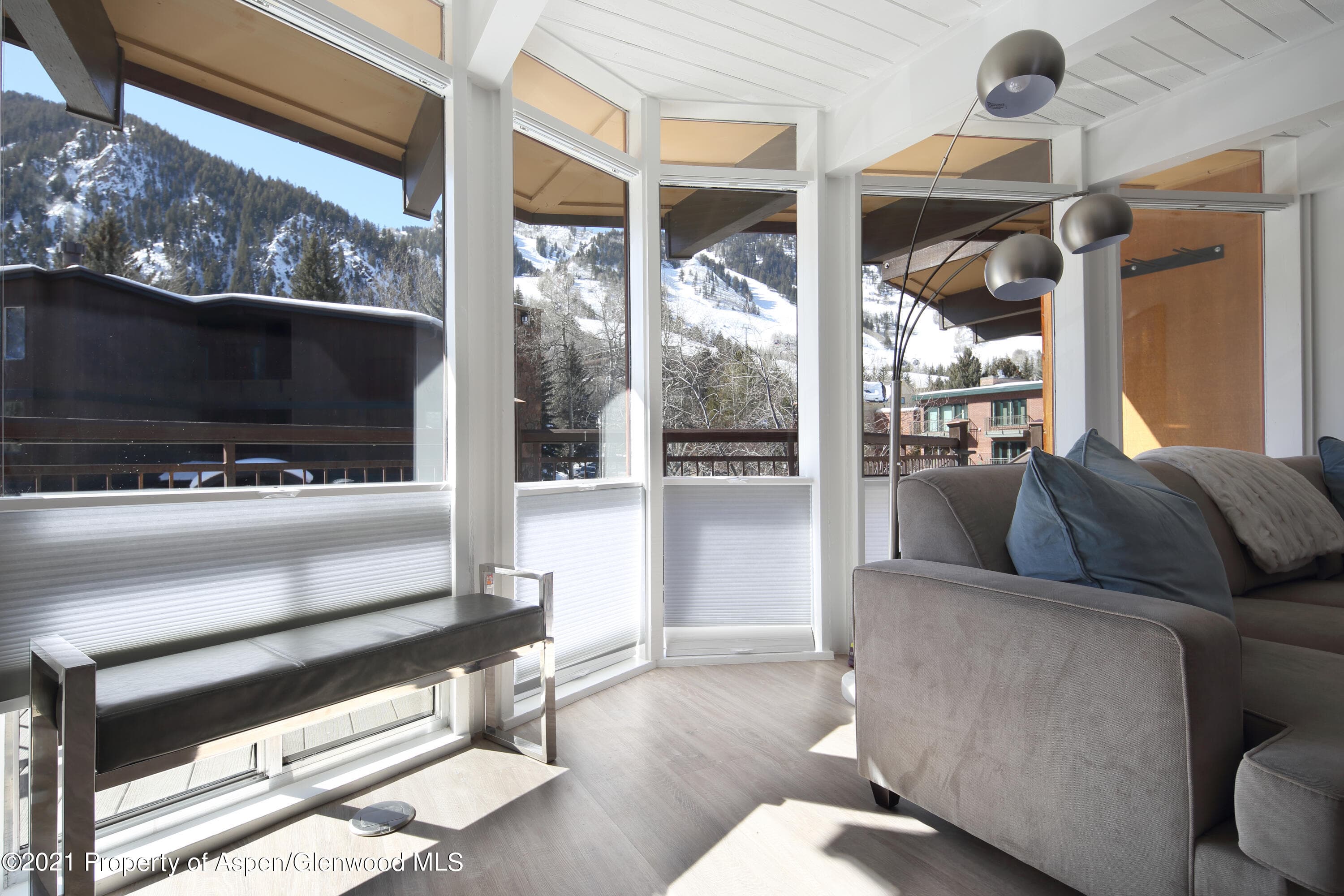 803 E Durant Avenue 7, Aspen, CO 81611 - Photo 3