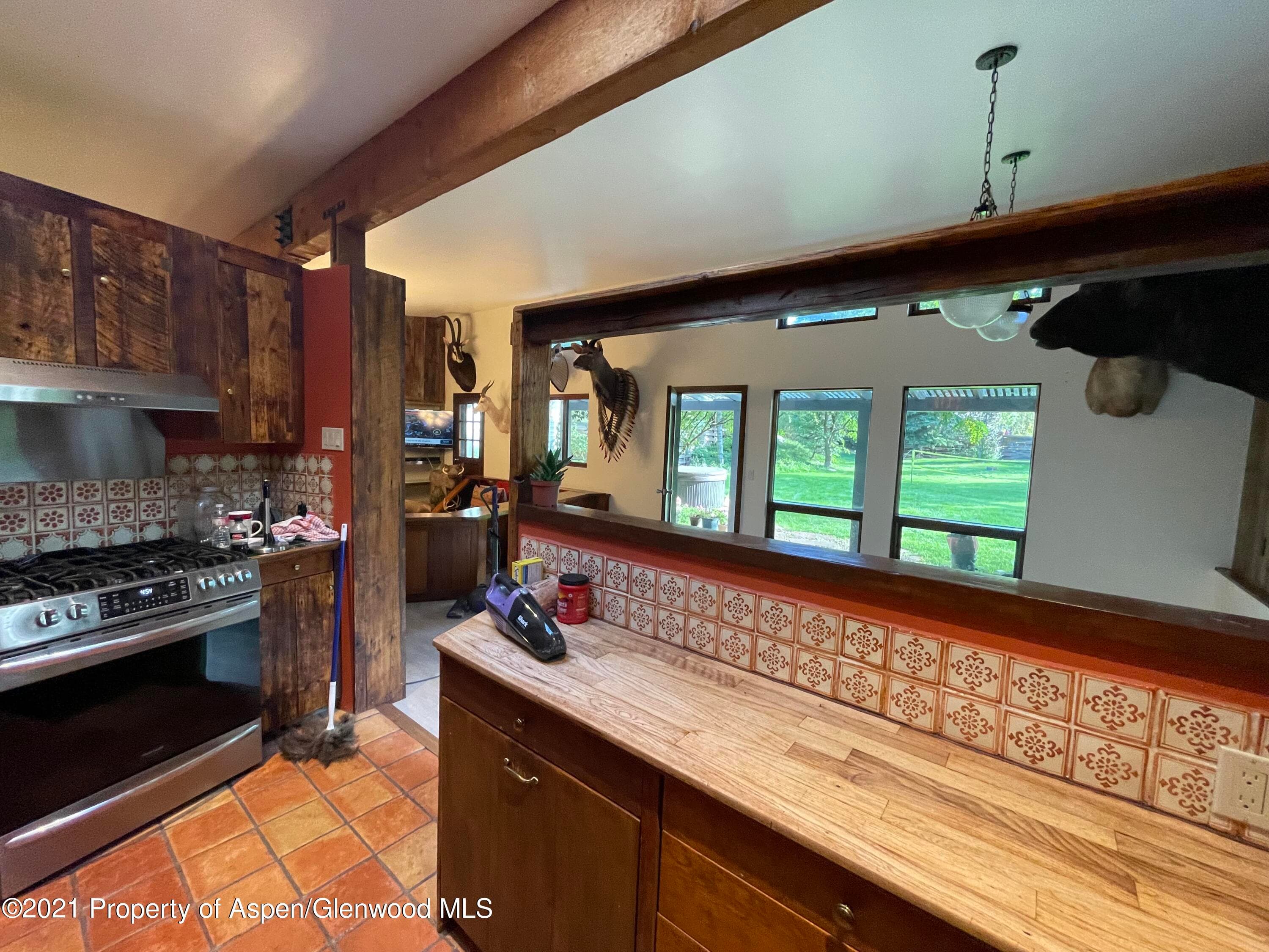 925 Gibson Avenue, Aspen, CO 81611 - Photo 9