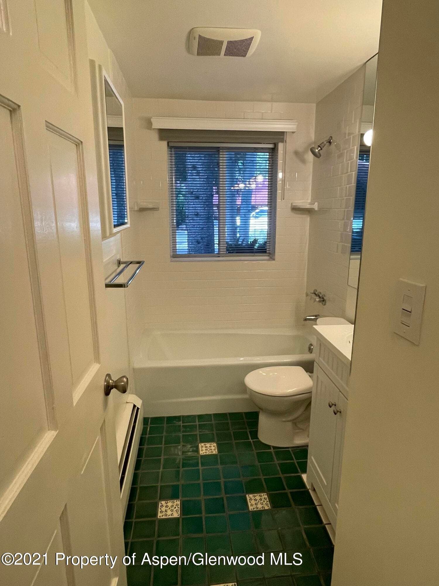 925 Gibson Avenue, Aspen, CO 81611 - Photo 19
