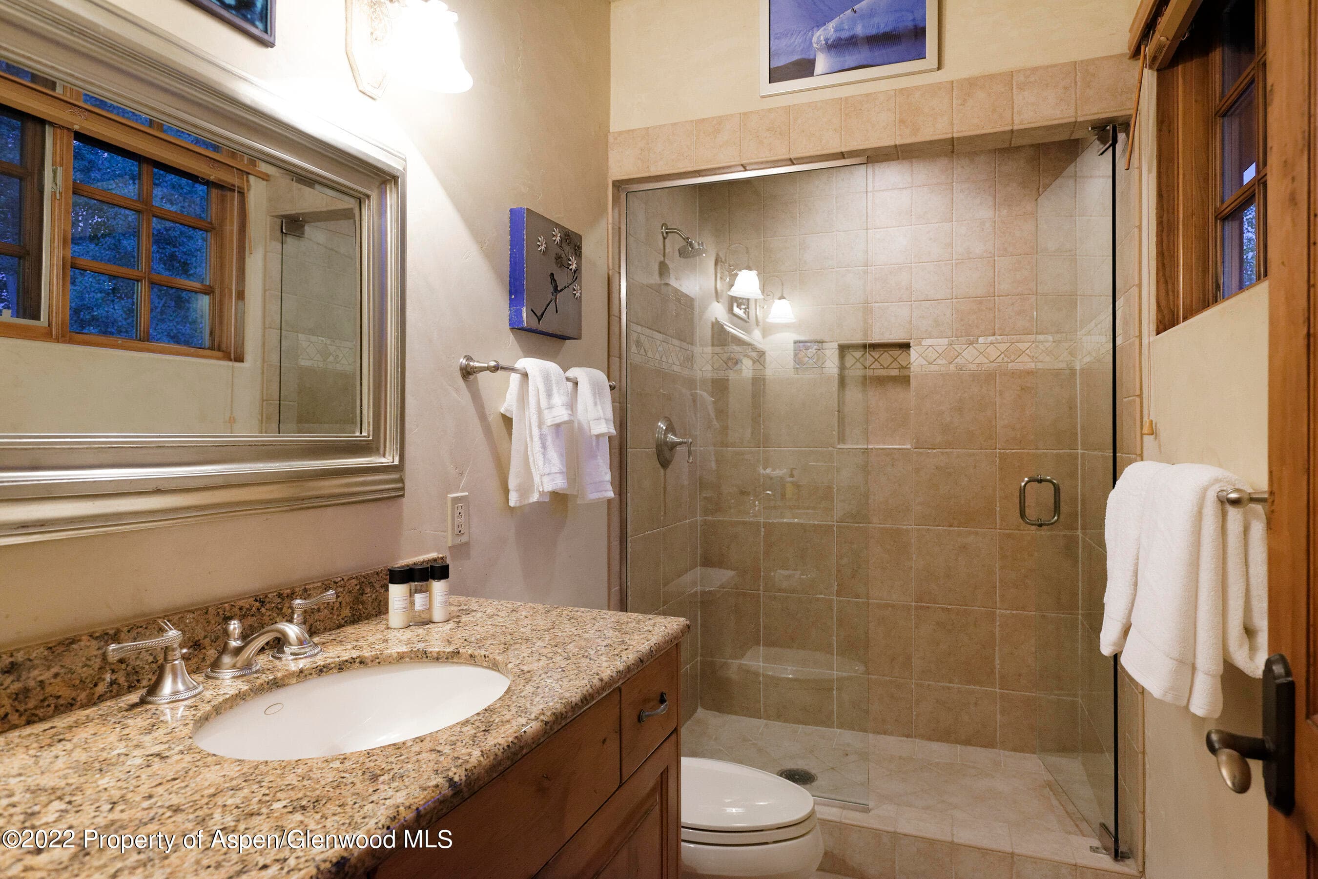 171 Cascade Lane, Aspen, CO 81611 - Photo 25
