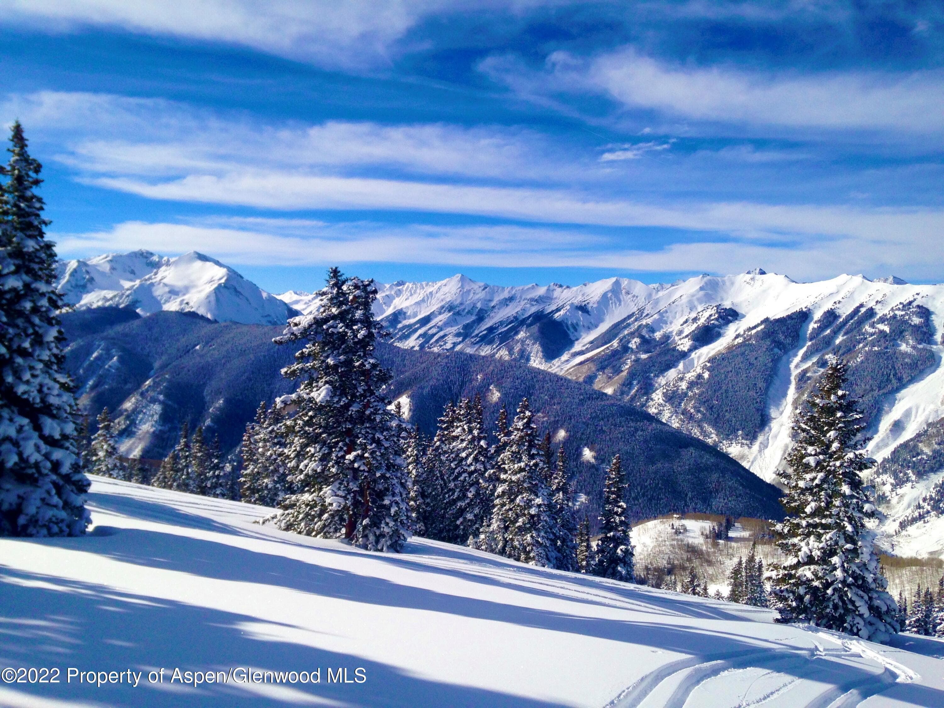1221 Richmond Hill Road, Aspen, CO 81611