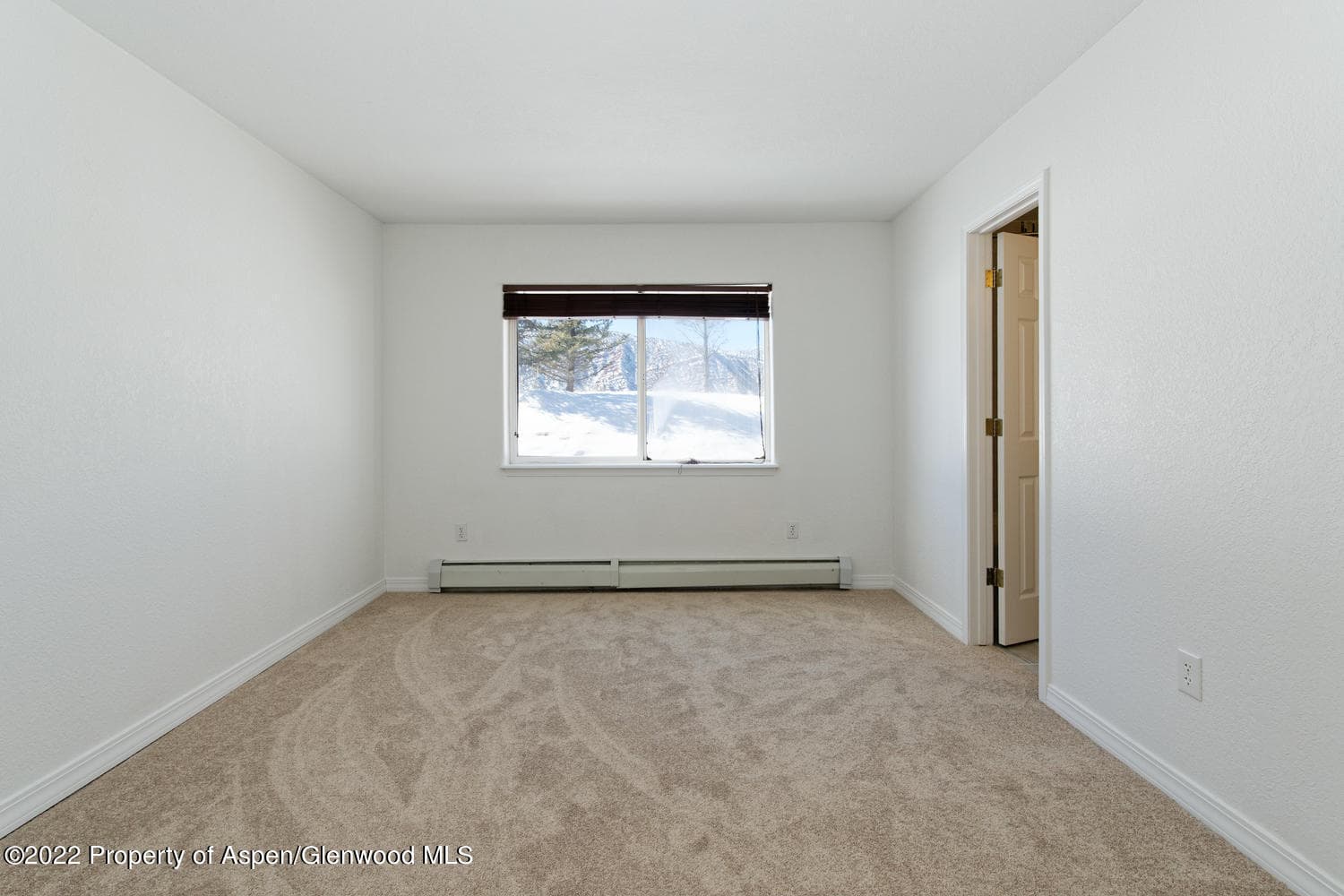 19 Pine Ridge Road, Basalt, CO 81621 - Photo 13