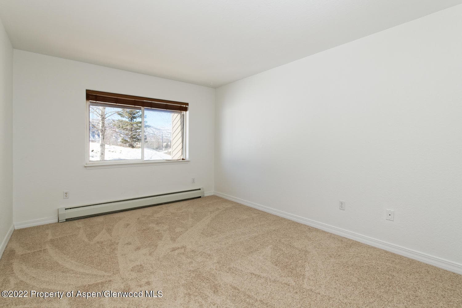 19 Pine Ridge Road, Basalt, CO 81621 - Photo 15