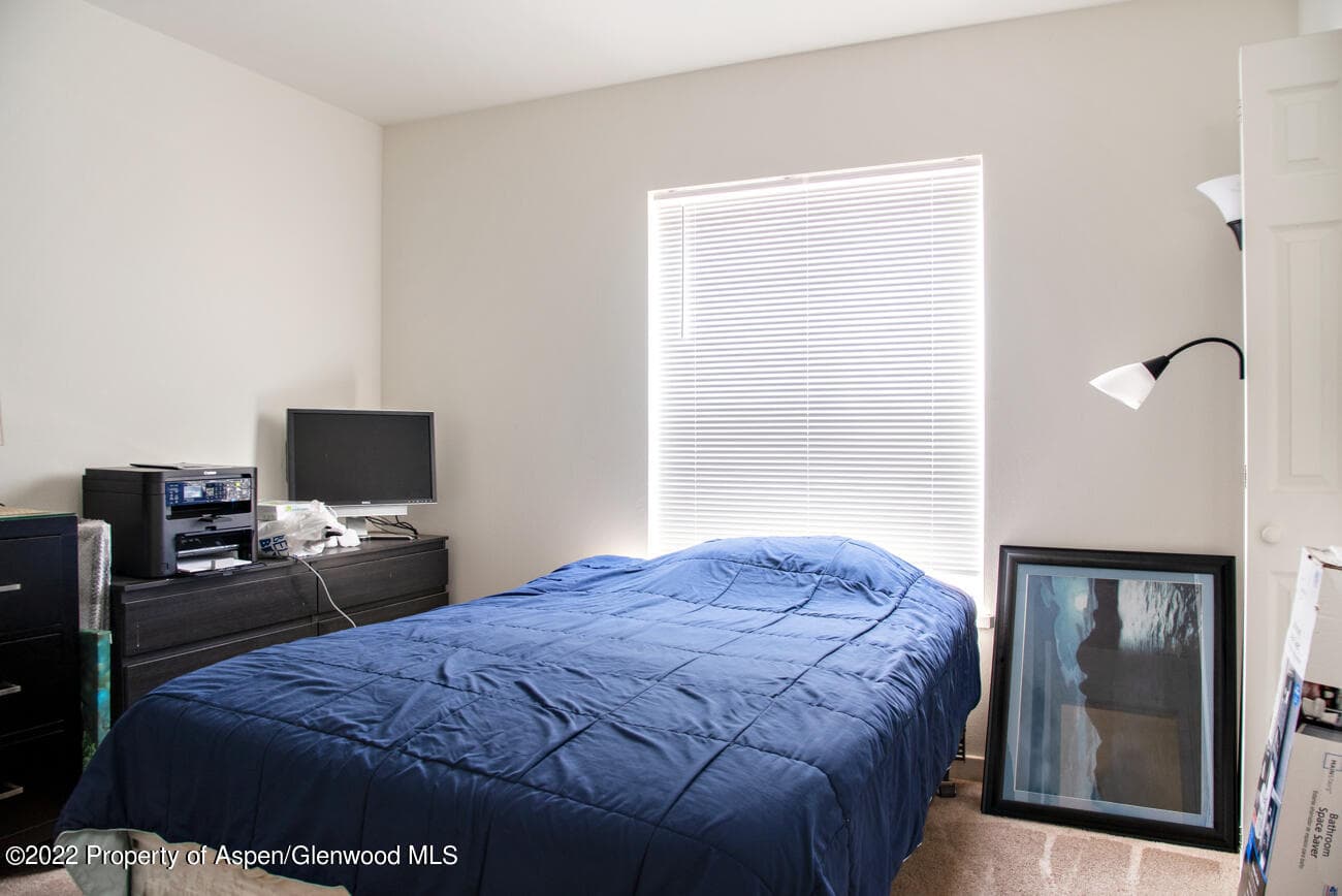 617 Cowdin Drive, Glenwood Springs, CO 81601 - Photo 23