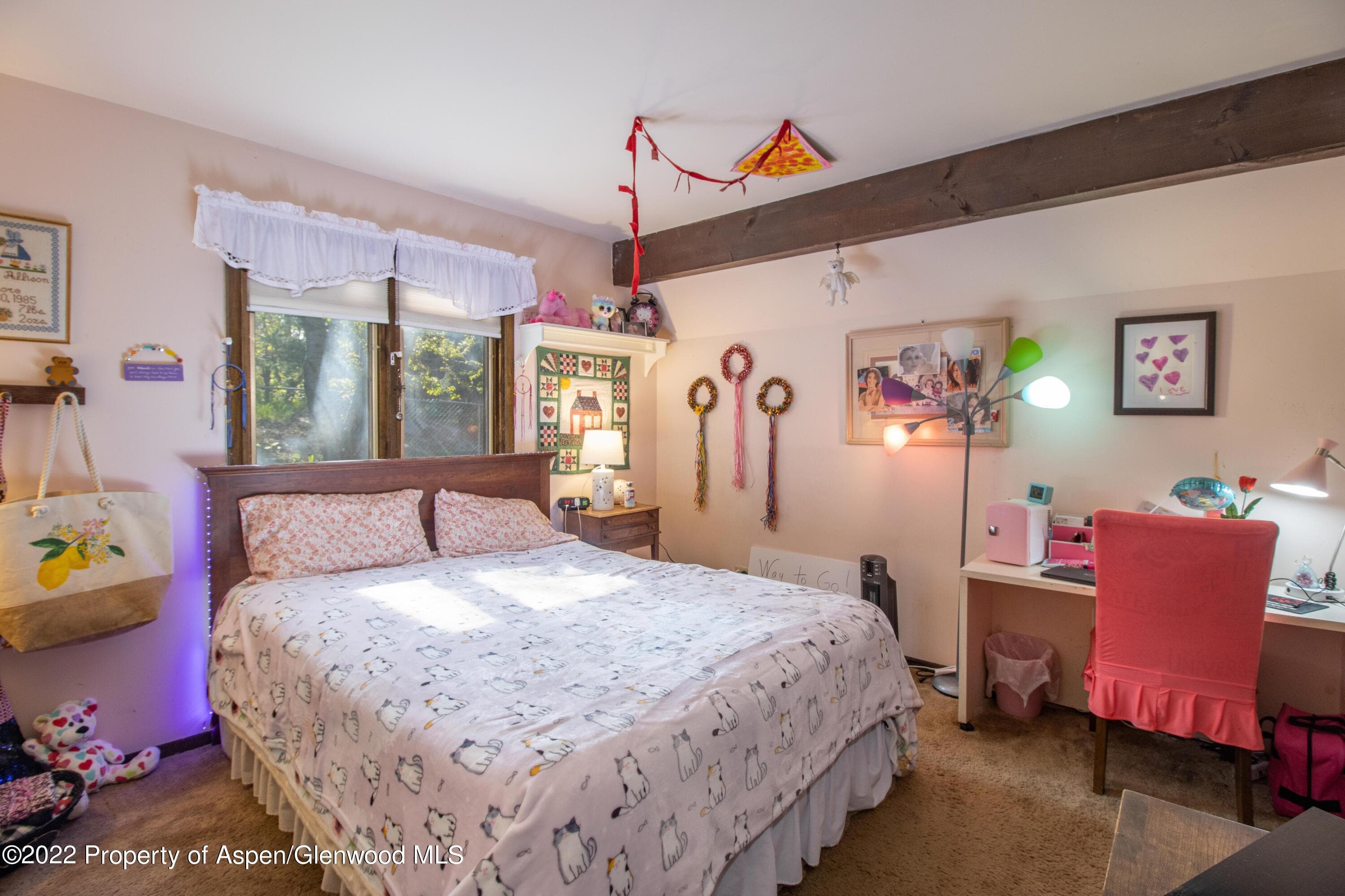 335 Vista Drive, Glenwood Springs, CO 81601 - Photo 13