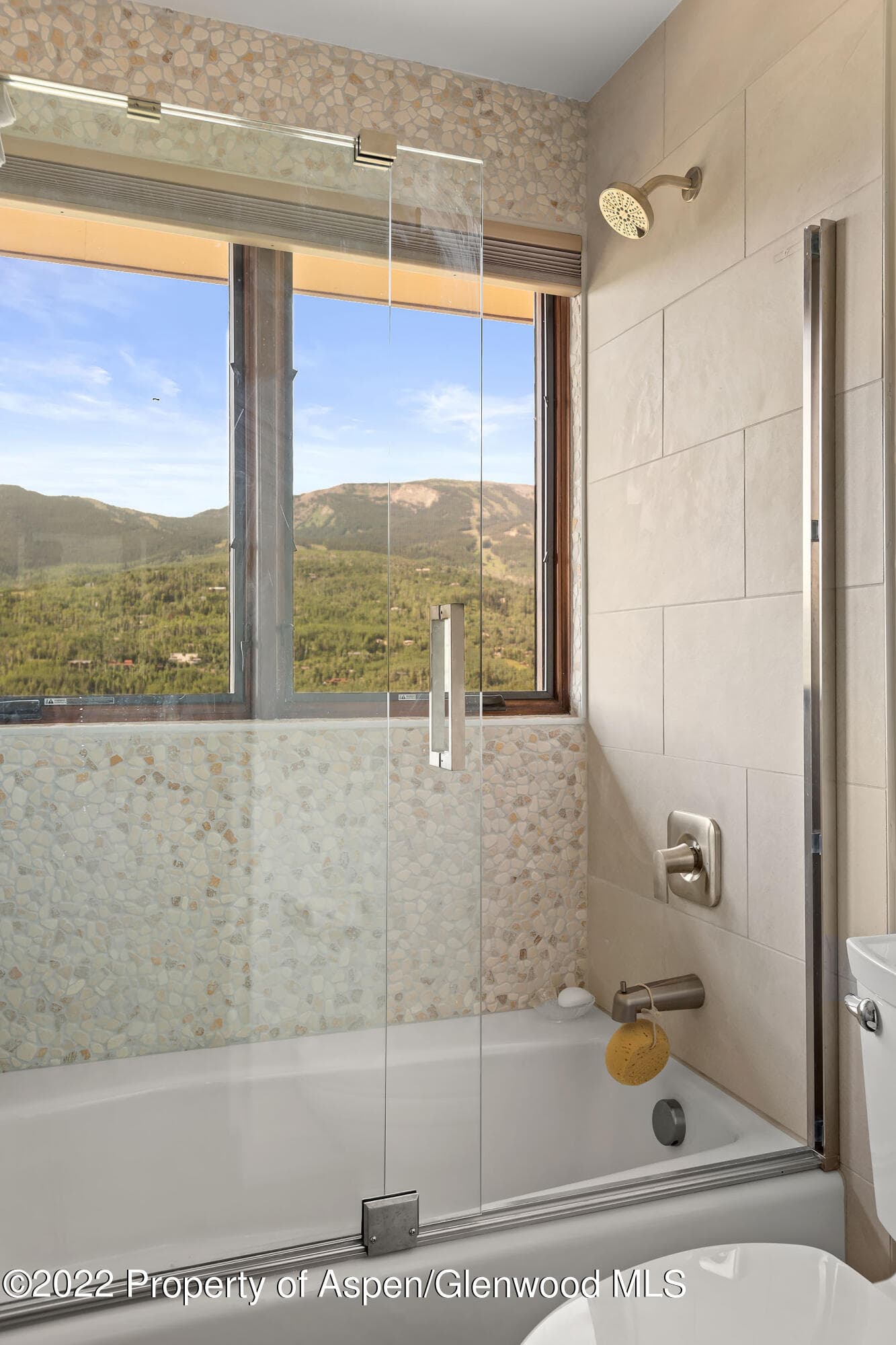 21 Lemond Circle, Snowmass Village, CO 81615 - Photo 14