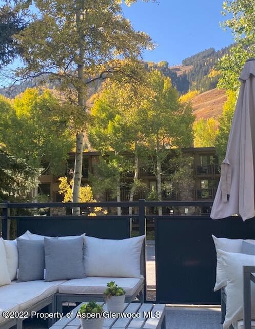 124 E Durant Avenue 2, Aspen, CO 81611 - Photo 5