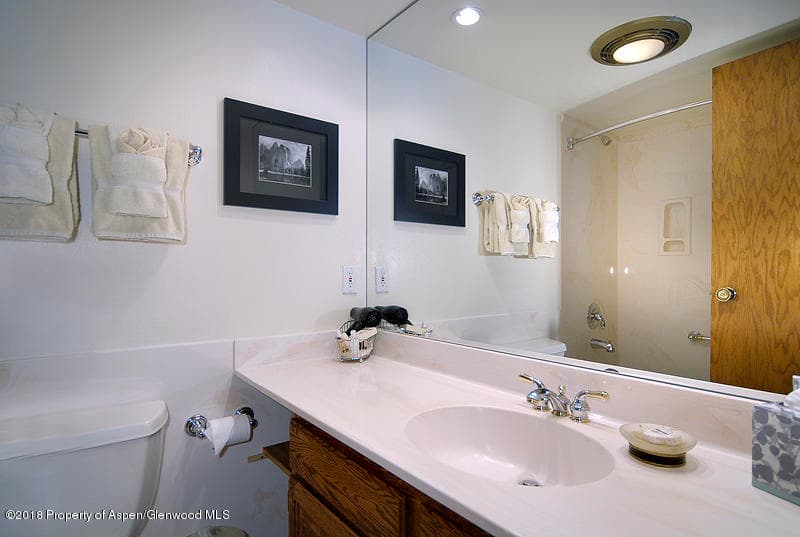 301 E Hyman Avenue #102 (Wks 3, 6, & 14), Aspen, CO 81611 - Photo 9