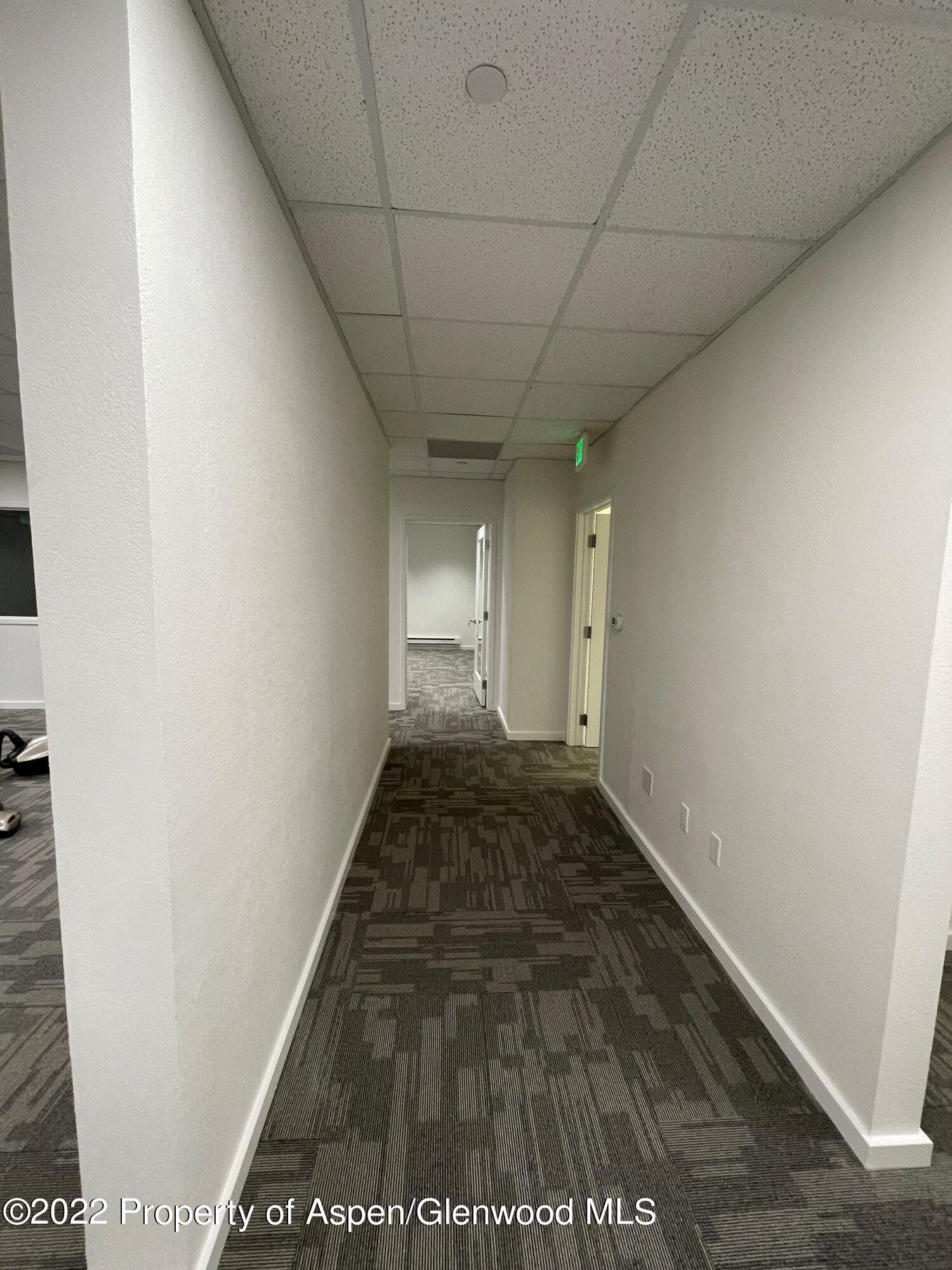 534 E Hyman Avenue Lower Level, Aspen, CO 81611 - Photo 23