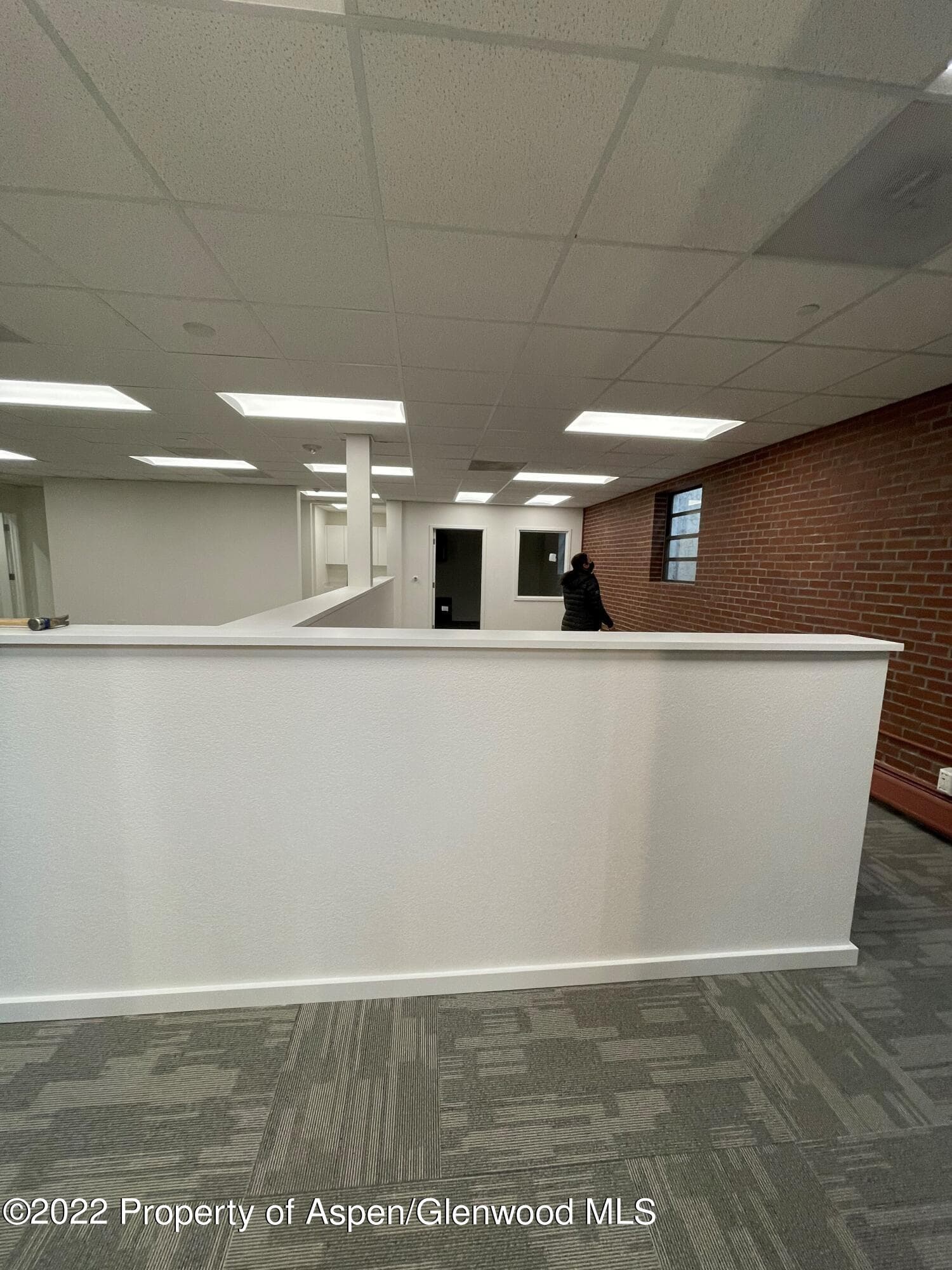 534 E Hyman Avenue Lower Level, Aspen, CO 81611 - Photo 13