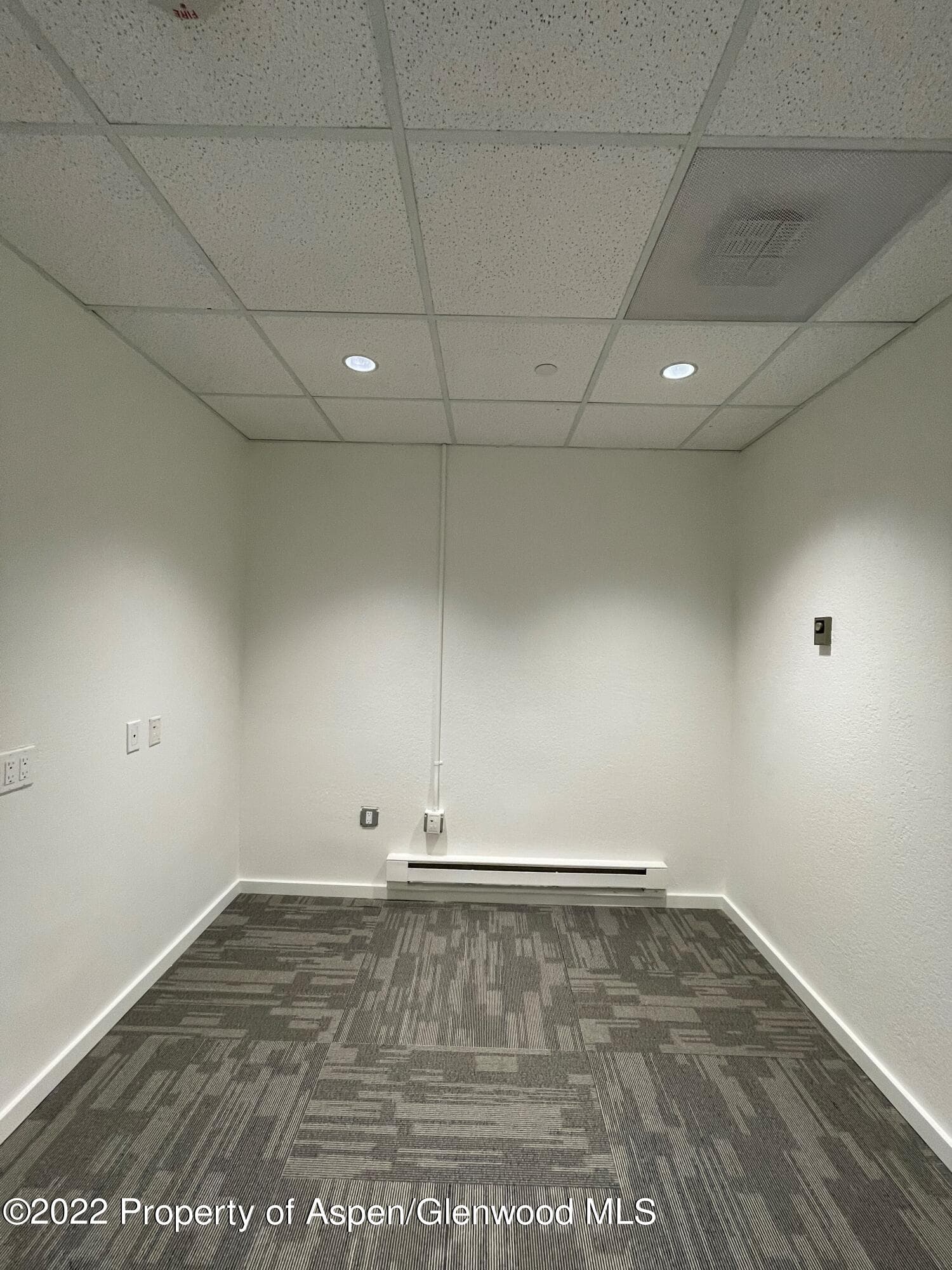 534 E Hyman Avenue Lower Level, Aspen, CO 81611 - Photo 15