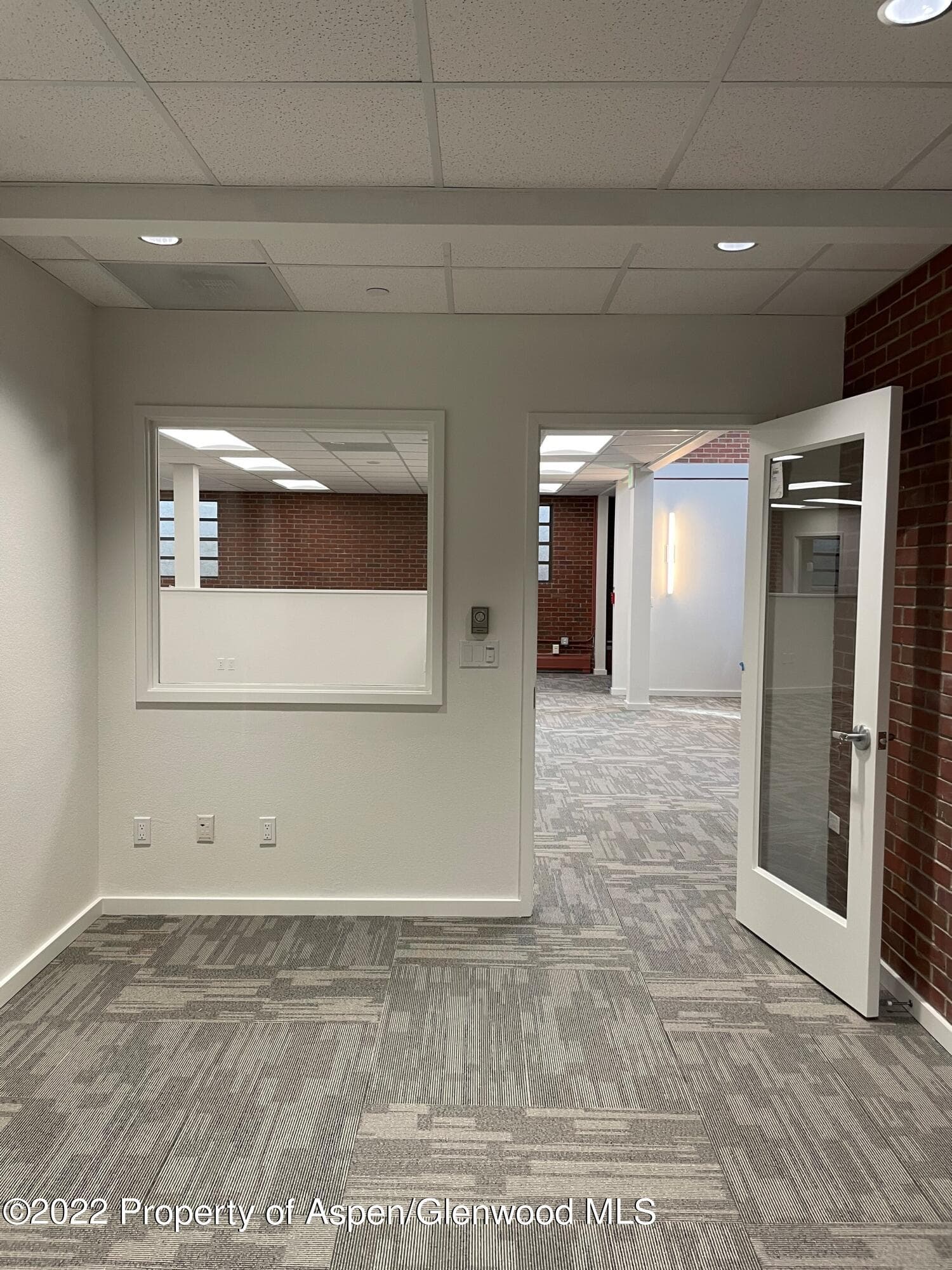 534 E Hyman Avenue Lower Level, Aspen, CO 81611 - Photo 17